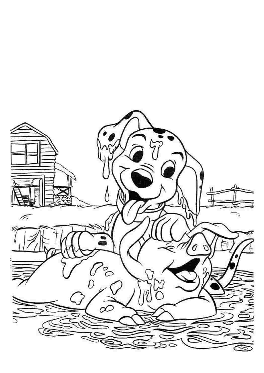 Раскраски Далматинец играет со свикной домашние животные 101 далматинец, Дисней, мультфильм