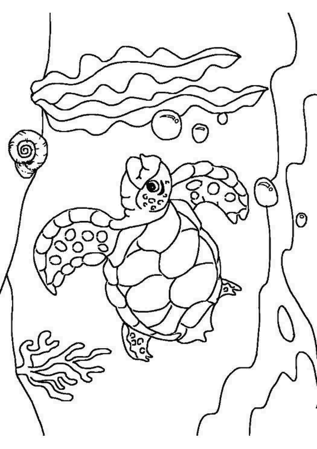 Раскраски Морская черепаха Морской монстр Рептилия, черепаха