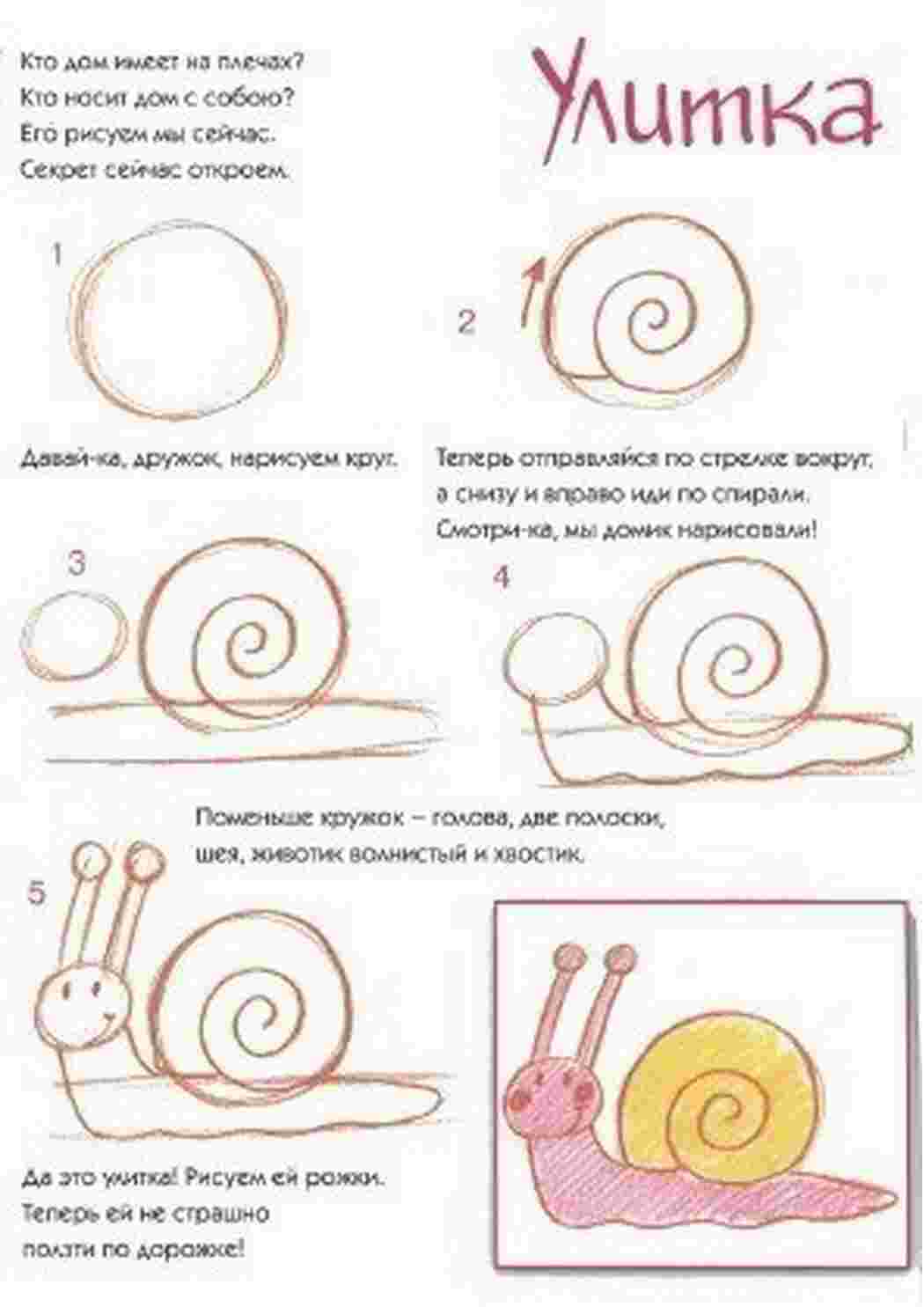 Раскраски, Поэтапно рисуем капусту, как нарисовать поэтапно овощи, каустап,  Учимся рисовать зайчика, миньон рисовать поэтапно очки , Поэтапно рисуем  цветы, Учимся рисовать лошадь, Учимся рисовать поэтапно животных и  насекомых.