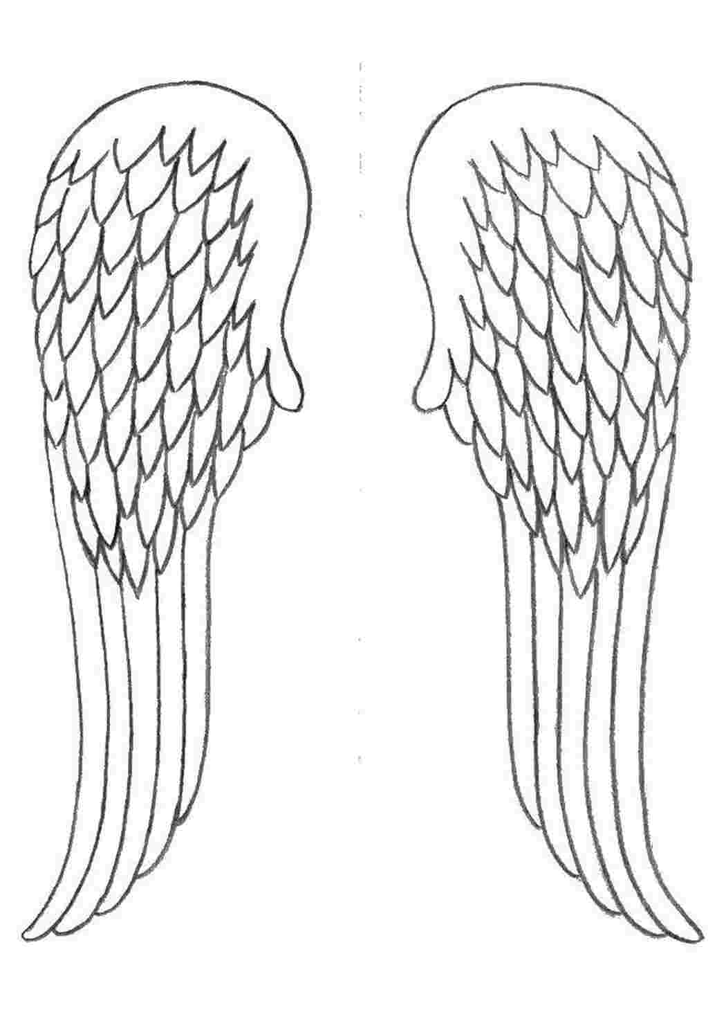 Раскраски Контур крыльев ангела Контуры ангела для вырезания крылья, ангел, контур