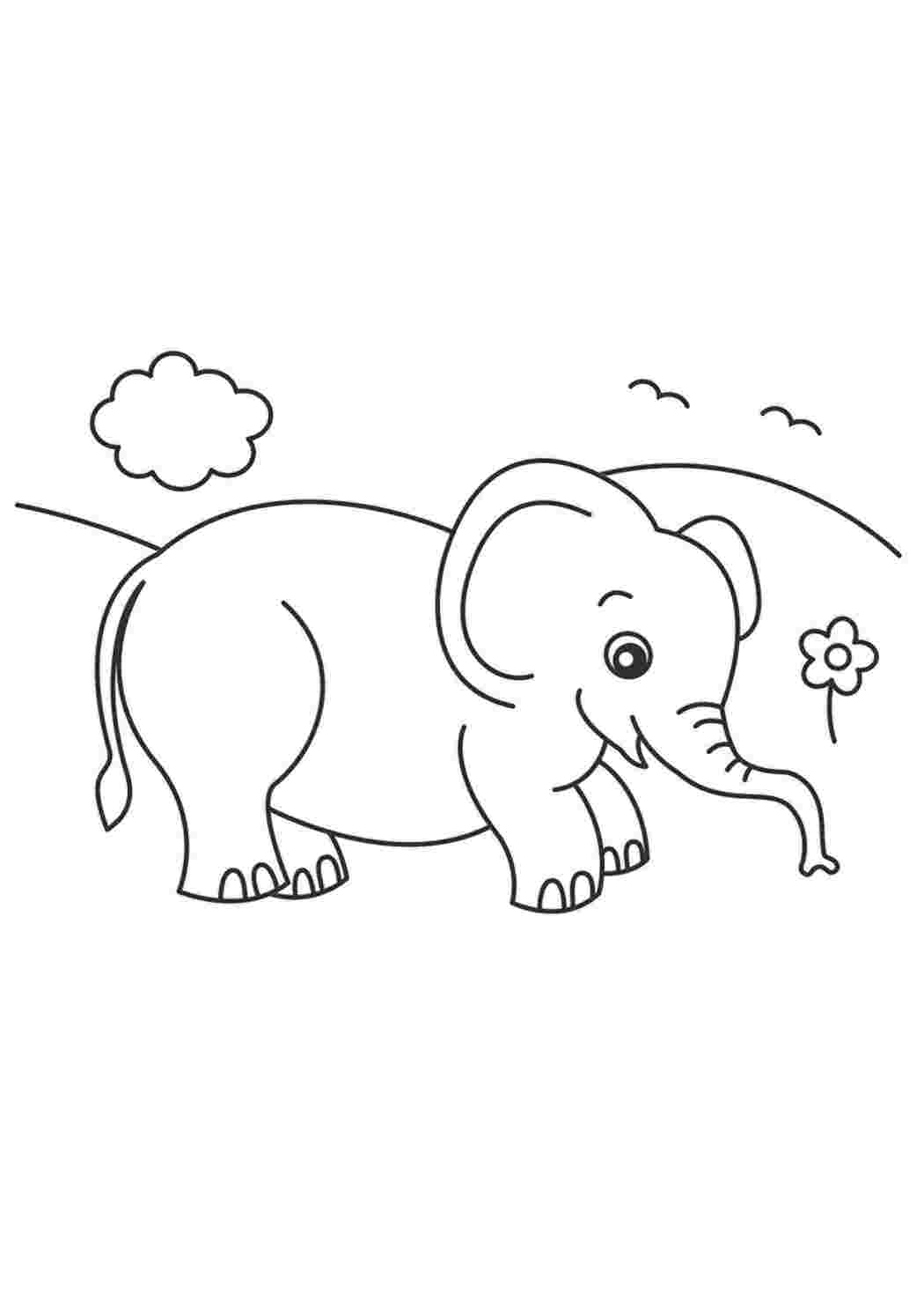 Раскраски Слоник на лугу Диснеевские раскраски слоник, луг, цветок