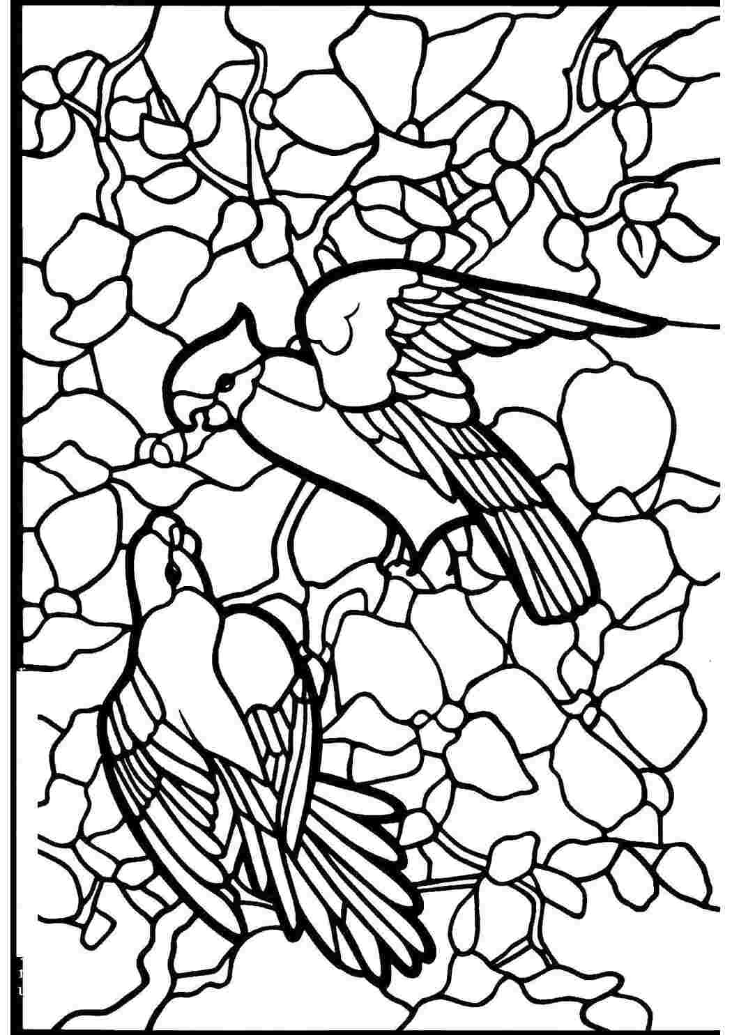 Раскраски Попугаи на дереве витражи витражи, дерево, цветы, птицы