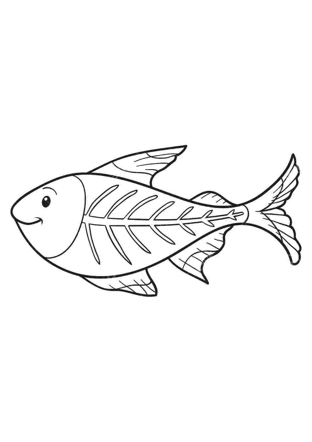 Раскраски Рыбка с костями рыбы рыбы, рыбки, скелет, кости
