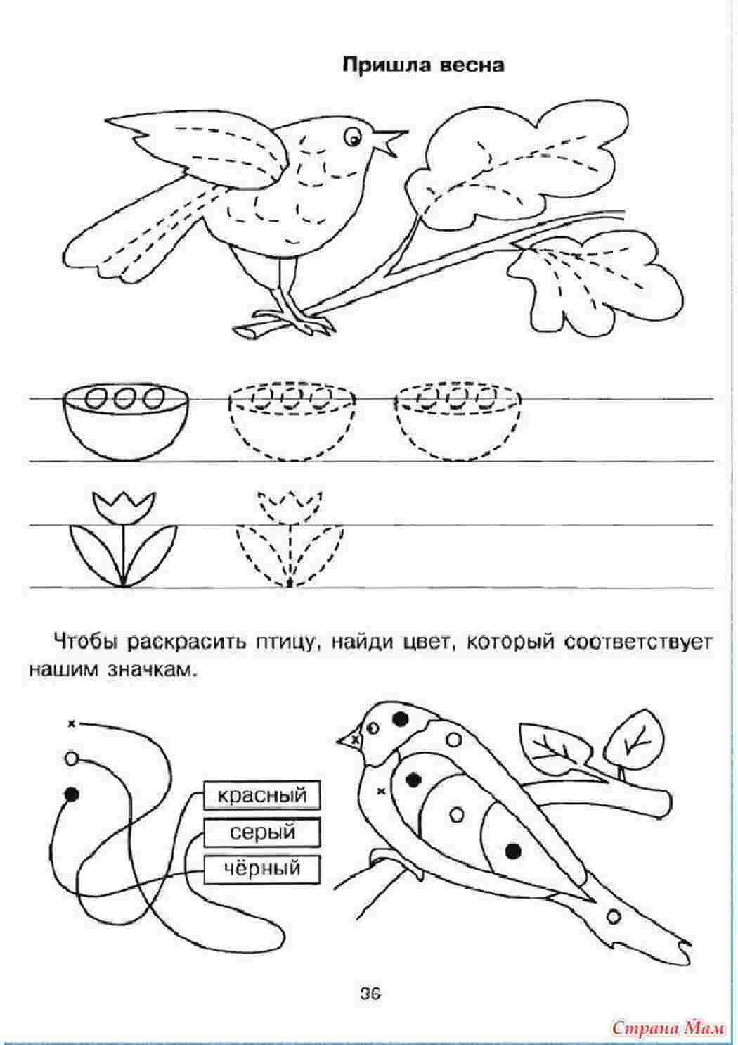 Раскраски  раскраски на тему штриховки                   раскраски на тему штриховки для мальчиков и девочек.  раскраски - штриховки. Раскраски на развитие ребенка       