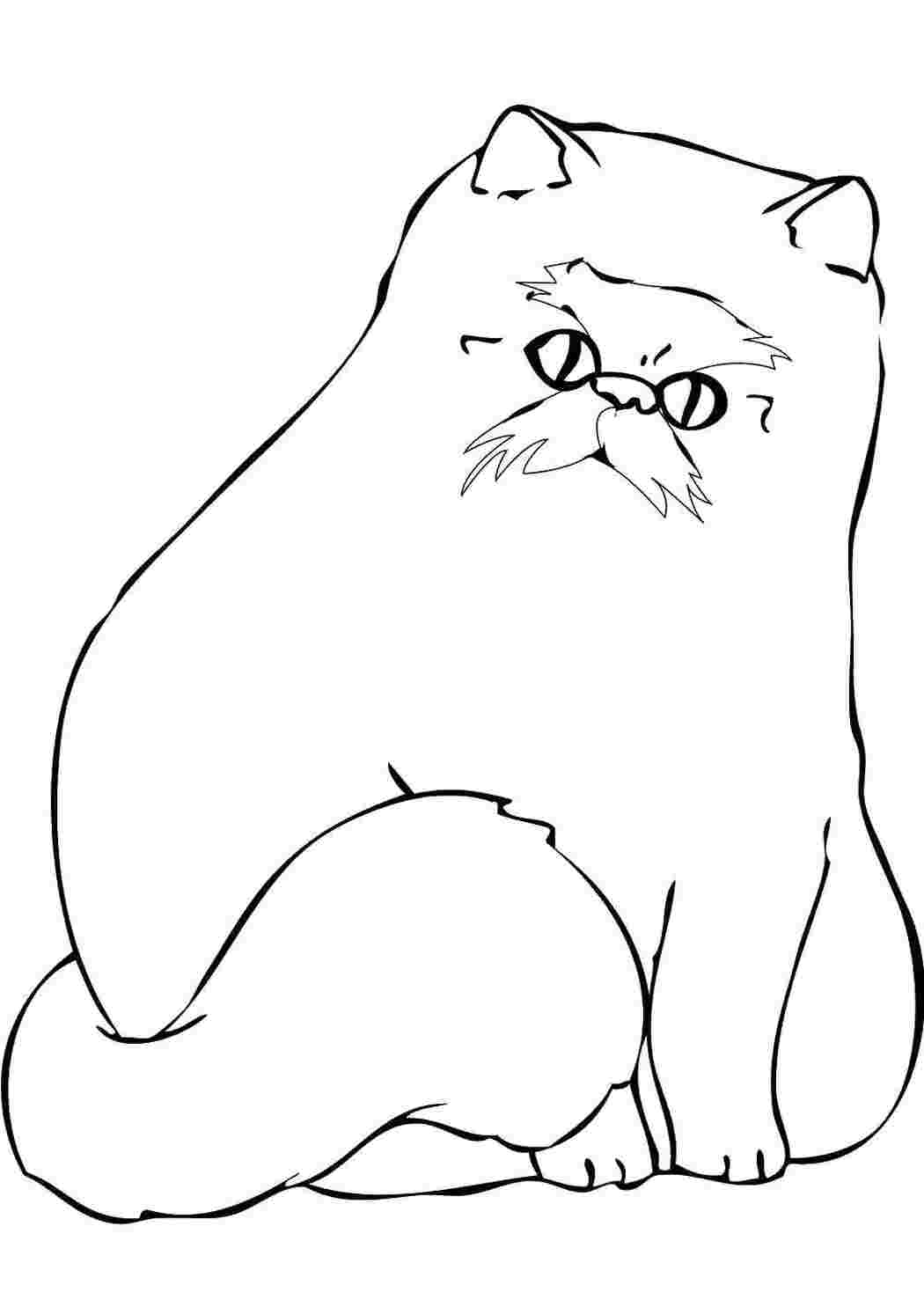 Раскраски Пушистый кот Кошка кот, хвост, глаза