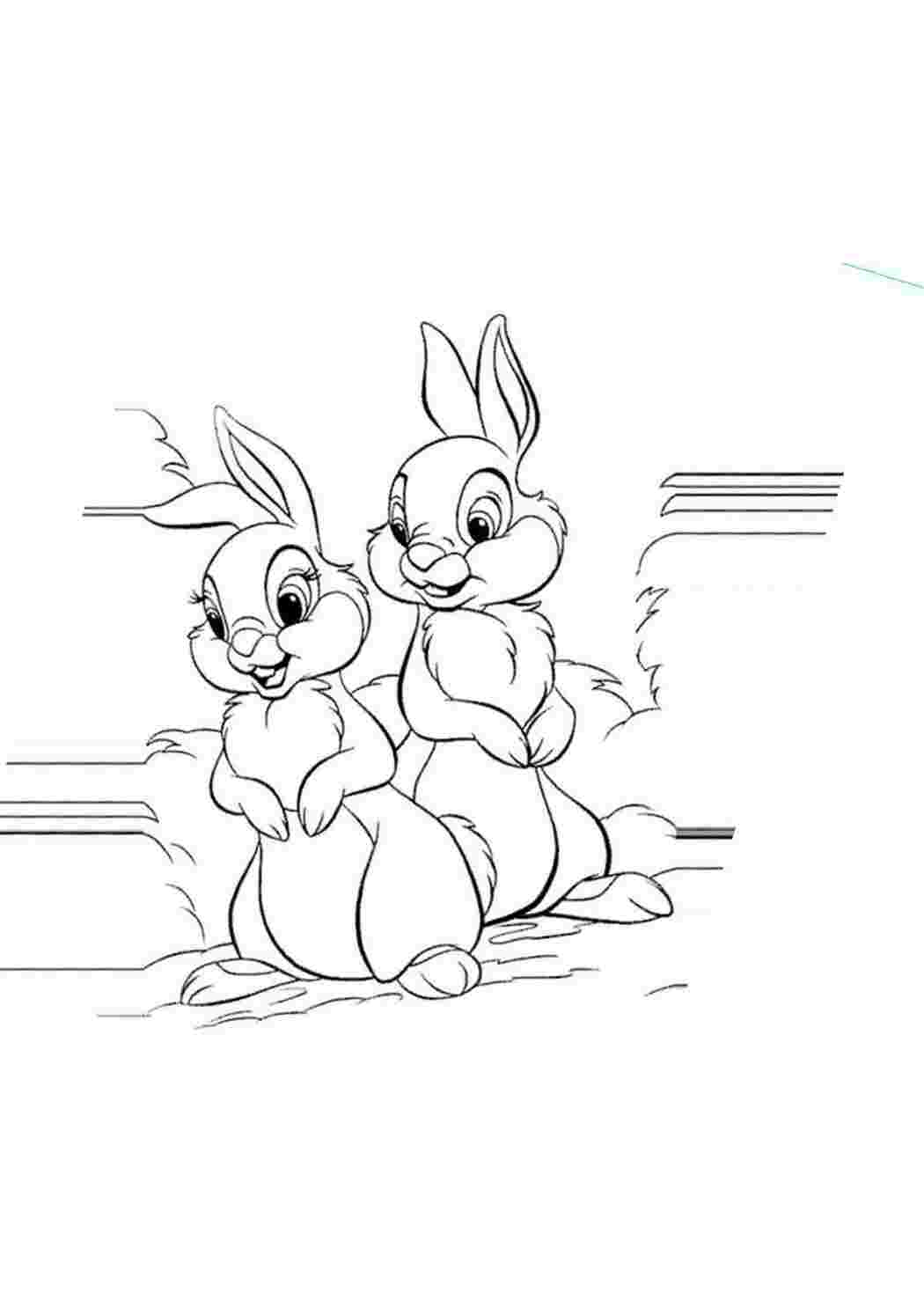 Раскраски Рисунок два зайчика домашние животные заяц, кролик