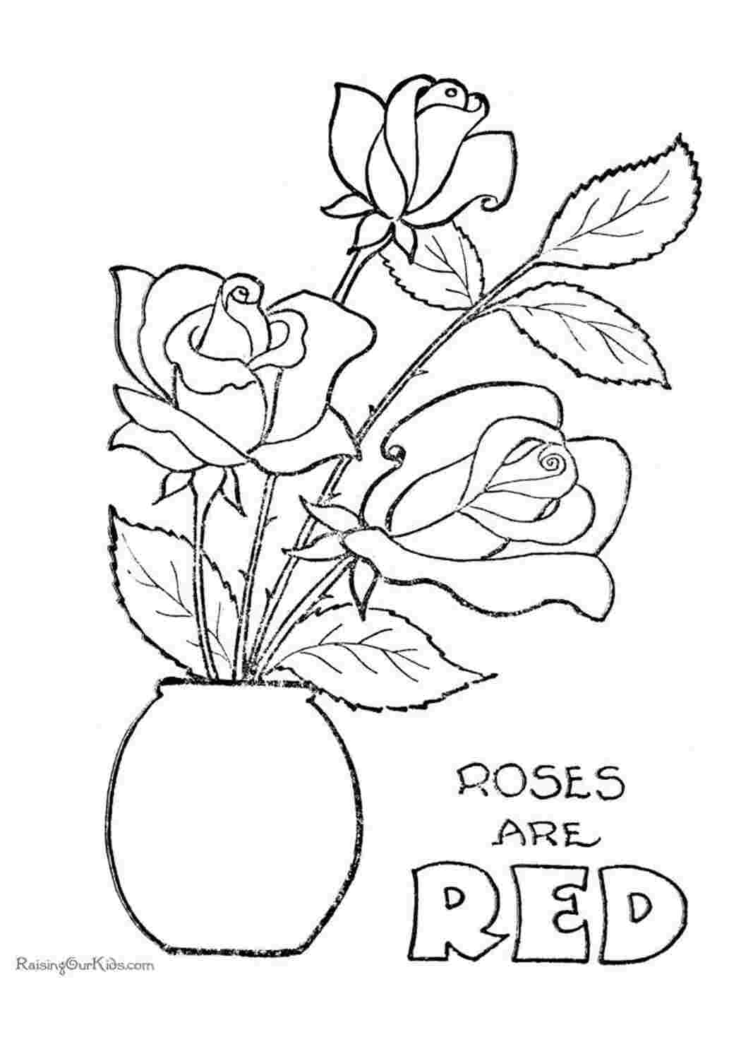 Раскраски Три розы в вазе Три розы в вазе  Раскраска цветок