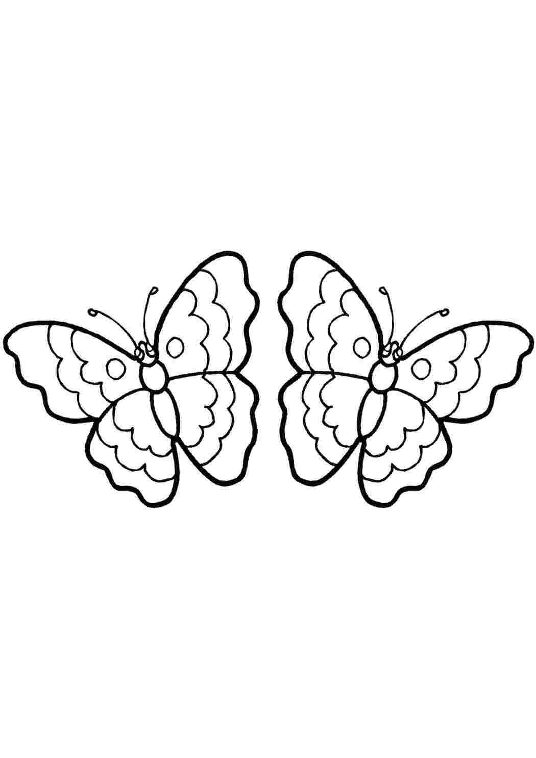Раскраски Две бабочки бабочки бабоска