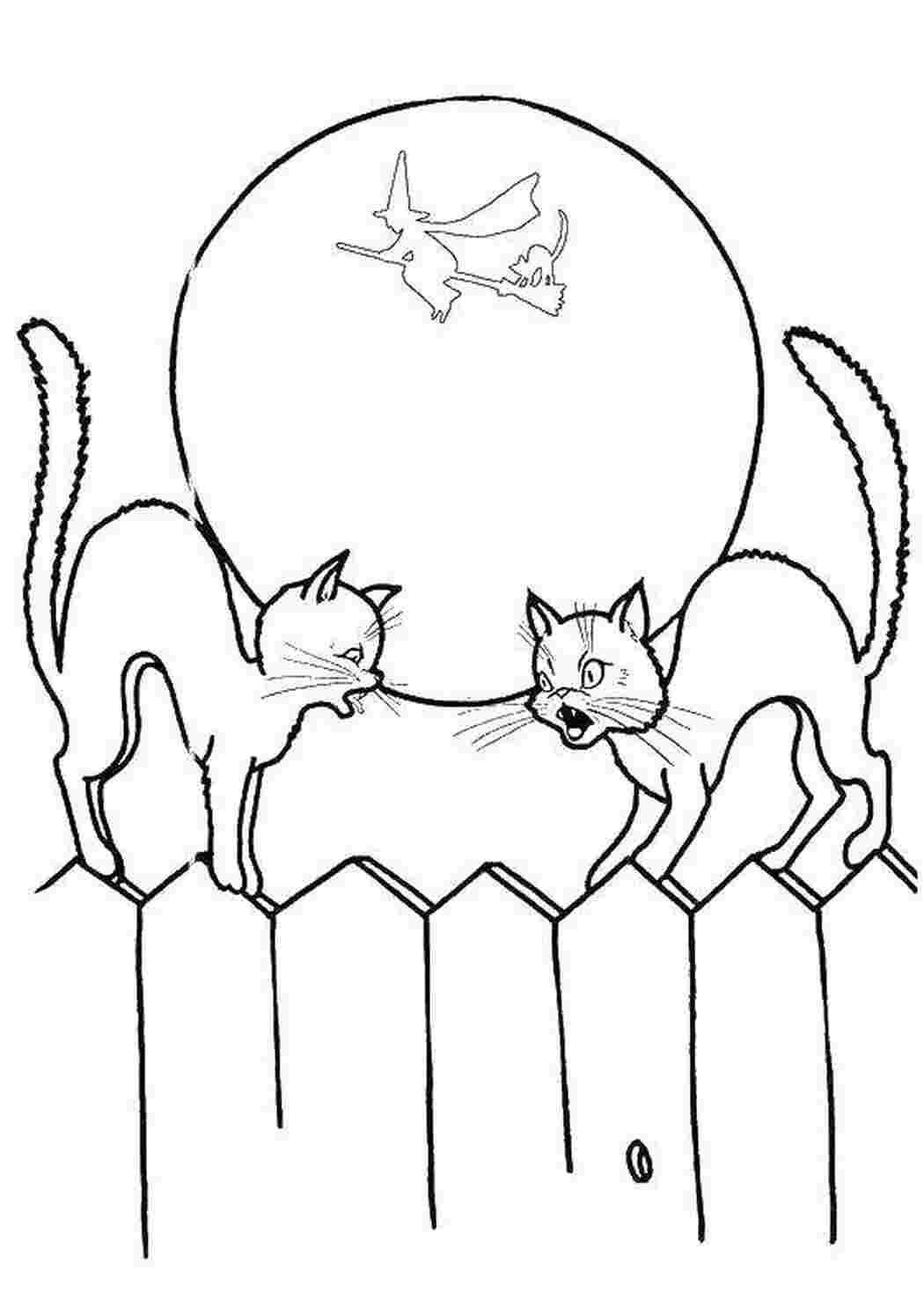 Коты и котята Животные, котята, кошки