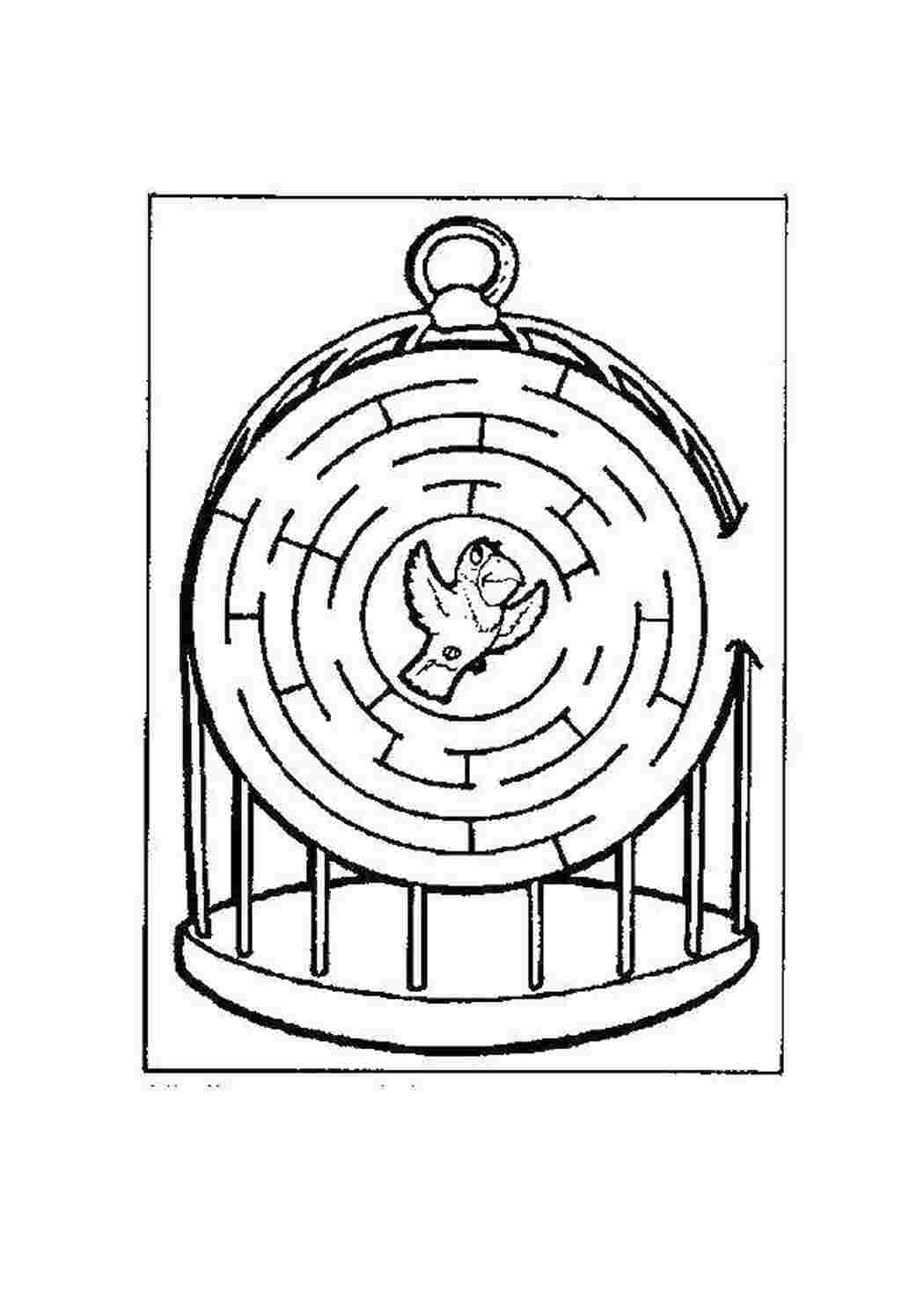 Раскраски Выведи птичку из клетки лабиринты Лабиринт, логика