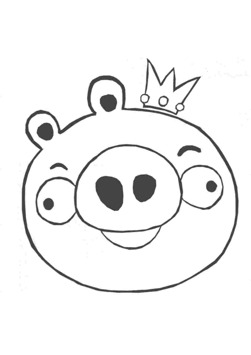 angry birds angry birds, свинья, корона
