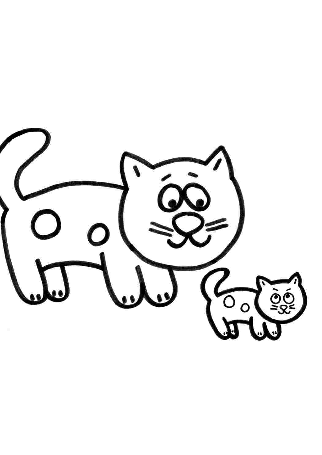 Животные животные, котенок, кошка