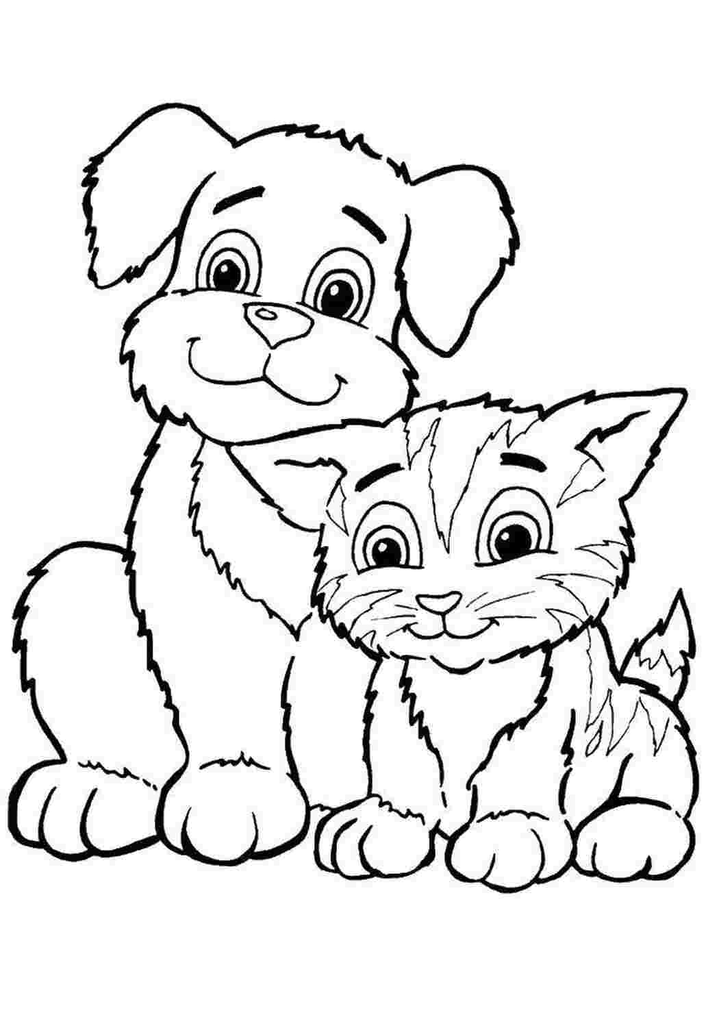 Раскраски Котенок сидит рядом с щенком котята и щенки котенок, щенок