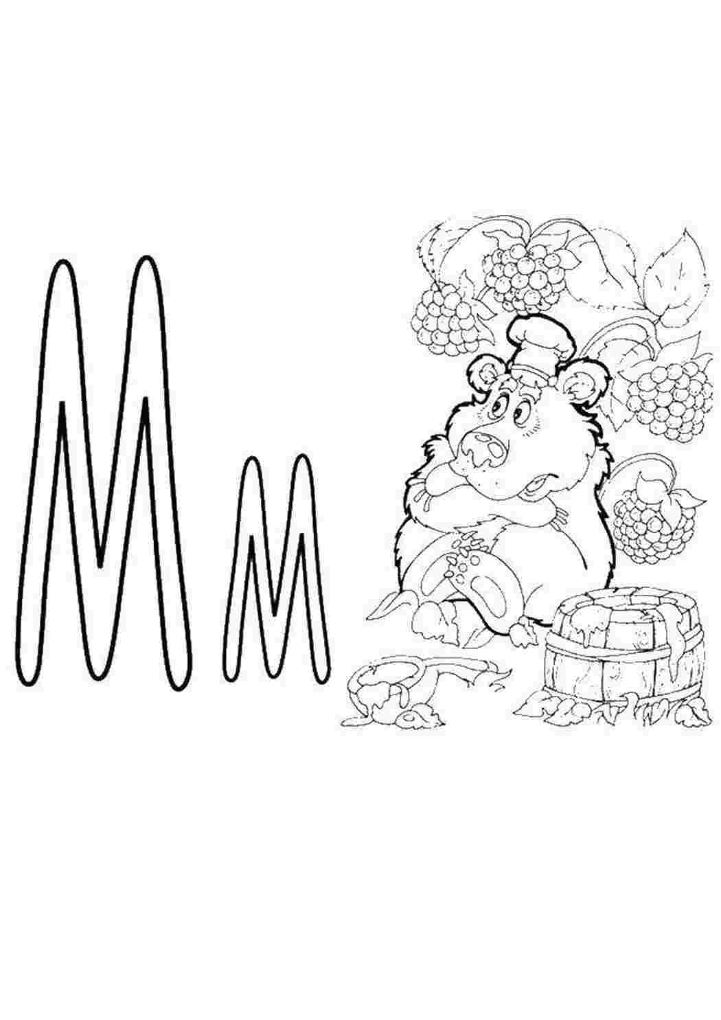 Раскраски Буква м алфавит алфавит, буква, Мм, медведь