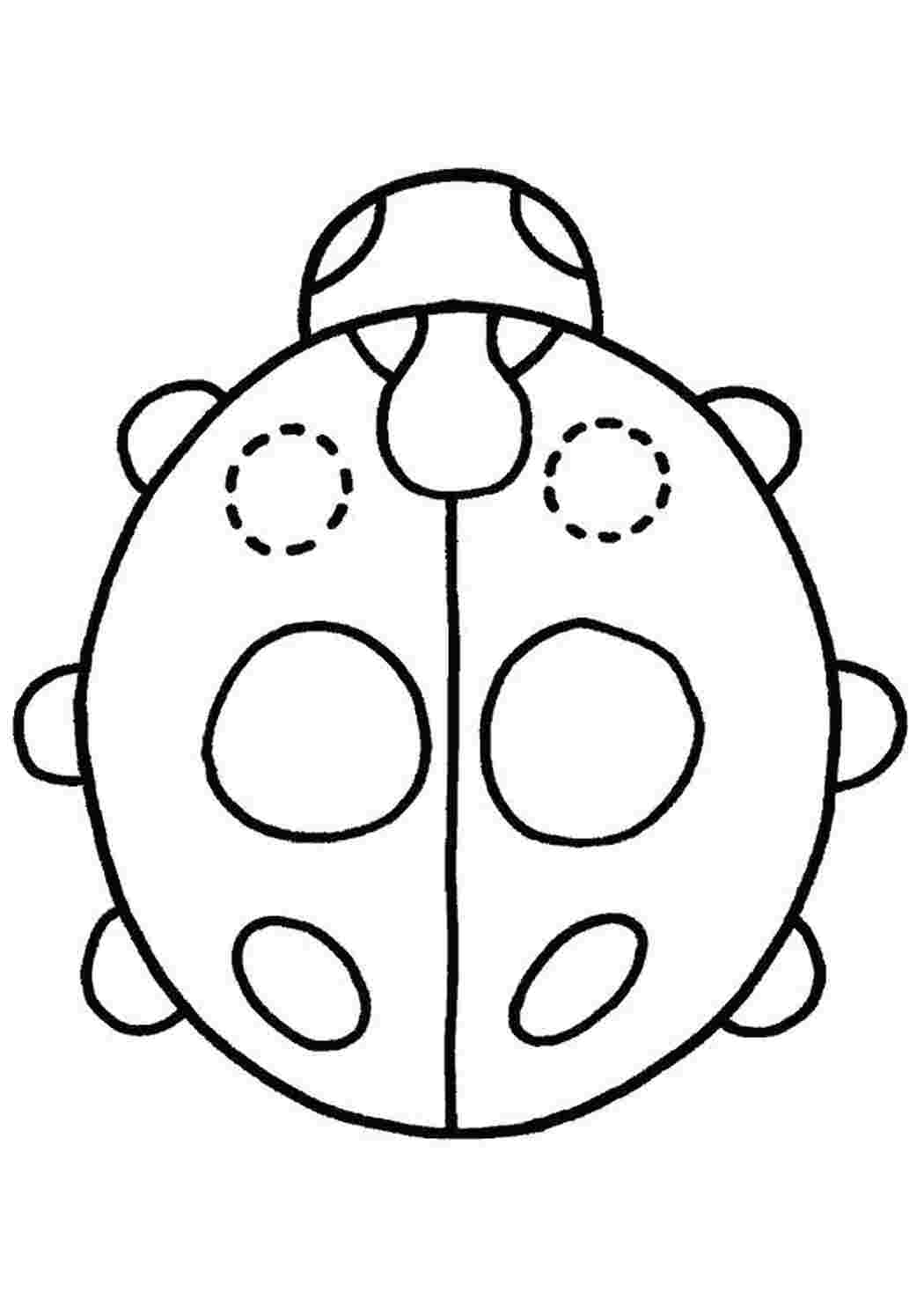 Божья коровка Божья коровка