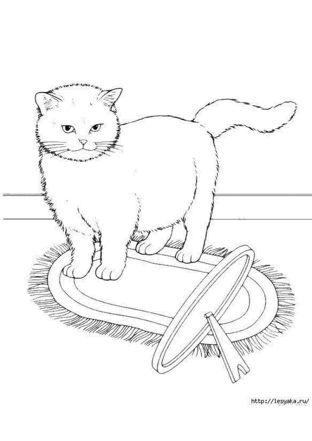 Раскраски Кошечка на коврике котики котики, кошечки, животные