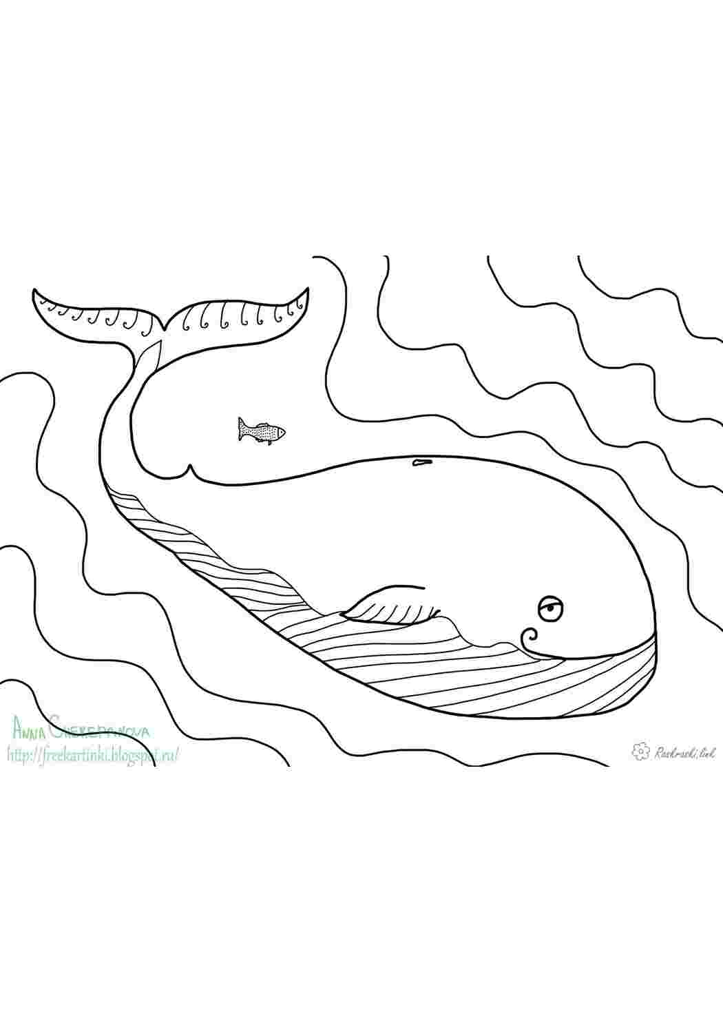 Раскраски Подводный мир 
