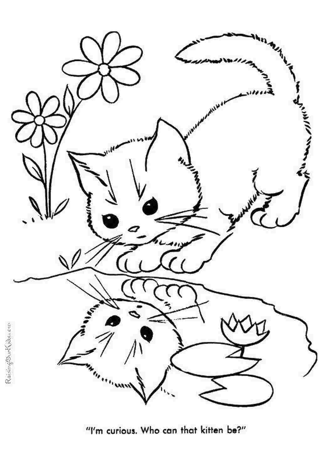 Раскраски Котенок у лужи Коты и котята котята, кошки, животные