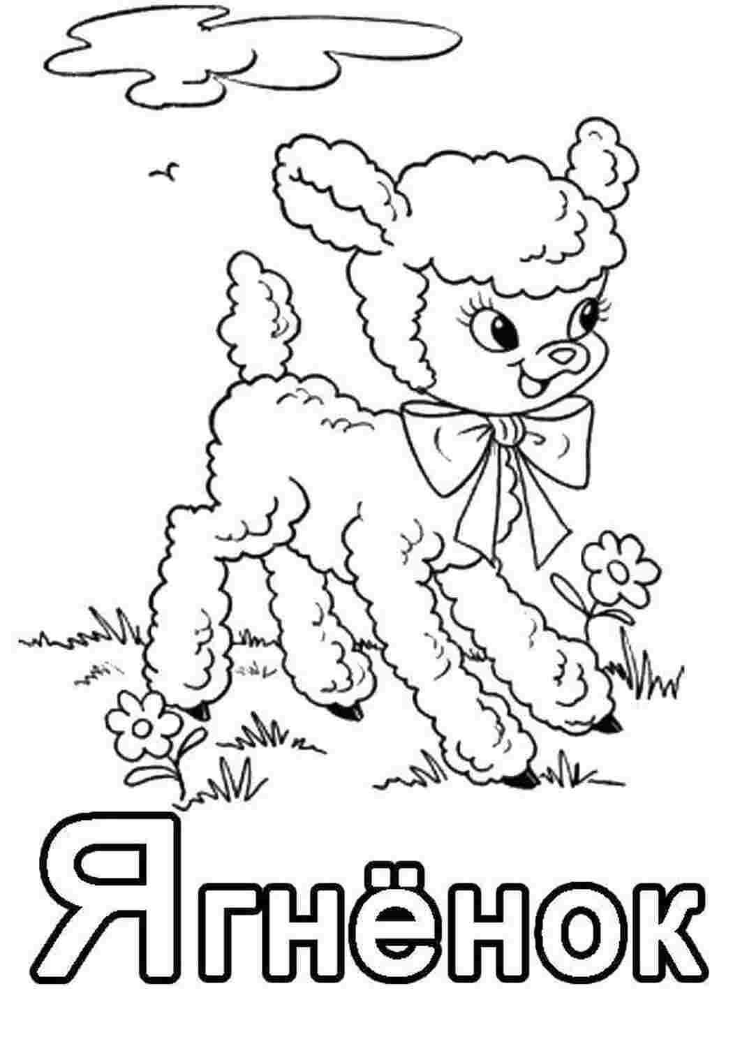алфавит Алфавит, буквы, слова