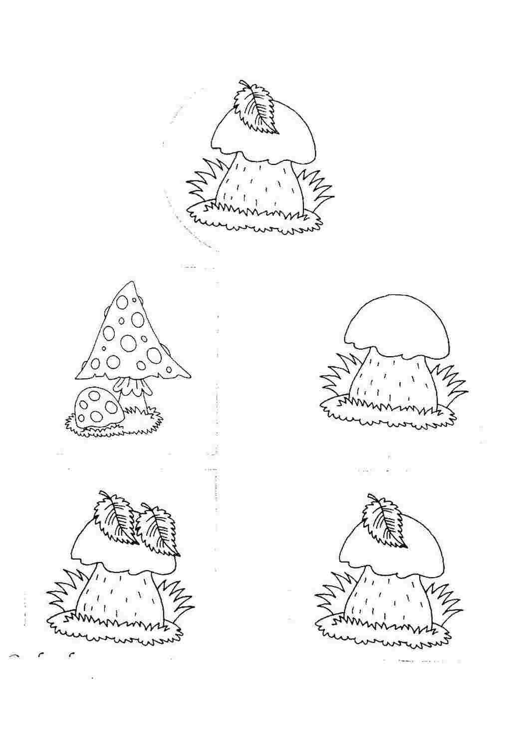Раскраски Грибочки Загадки грибы, пара, грибы