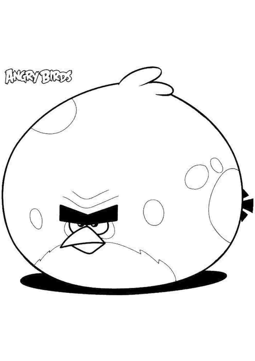 Раскраски Толстая птица angry birds angry birds angry birds, птица