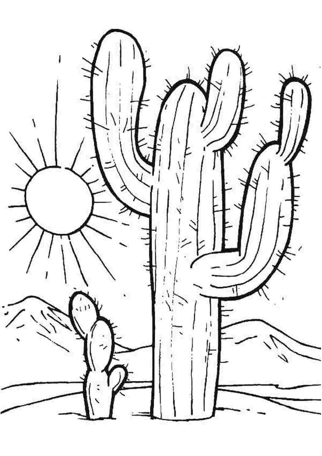 Раскраски Кактусы в пустыне Пустыня пустыня, кактусы, солнце