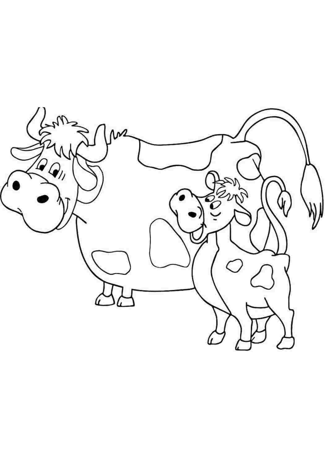 Раскраски Рисунок  корова и бычок домашние животные корова