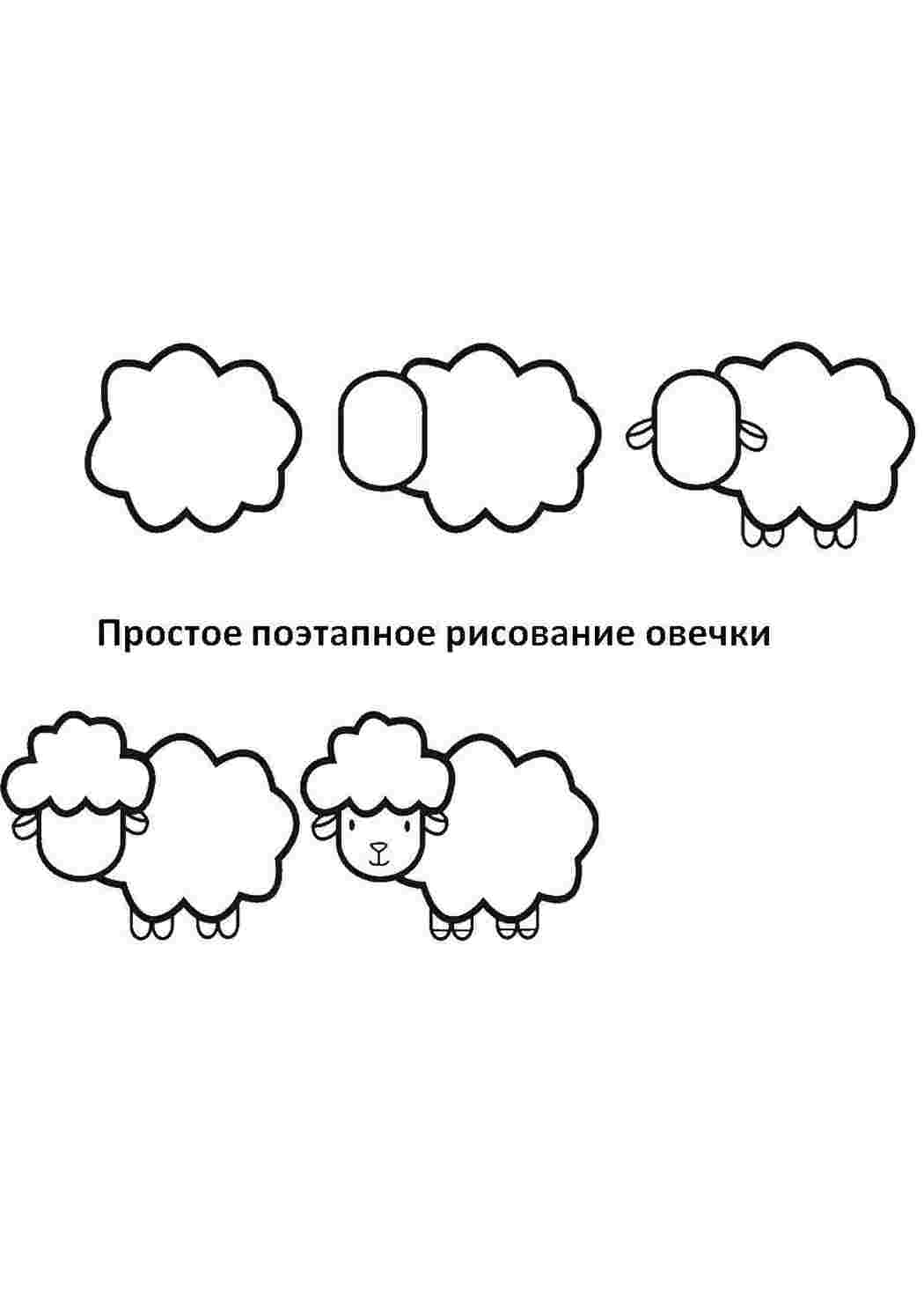 Раскраски Поэтапно рисуем овечку как нарисовать поэтапно животных Животные, овечка