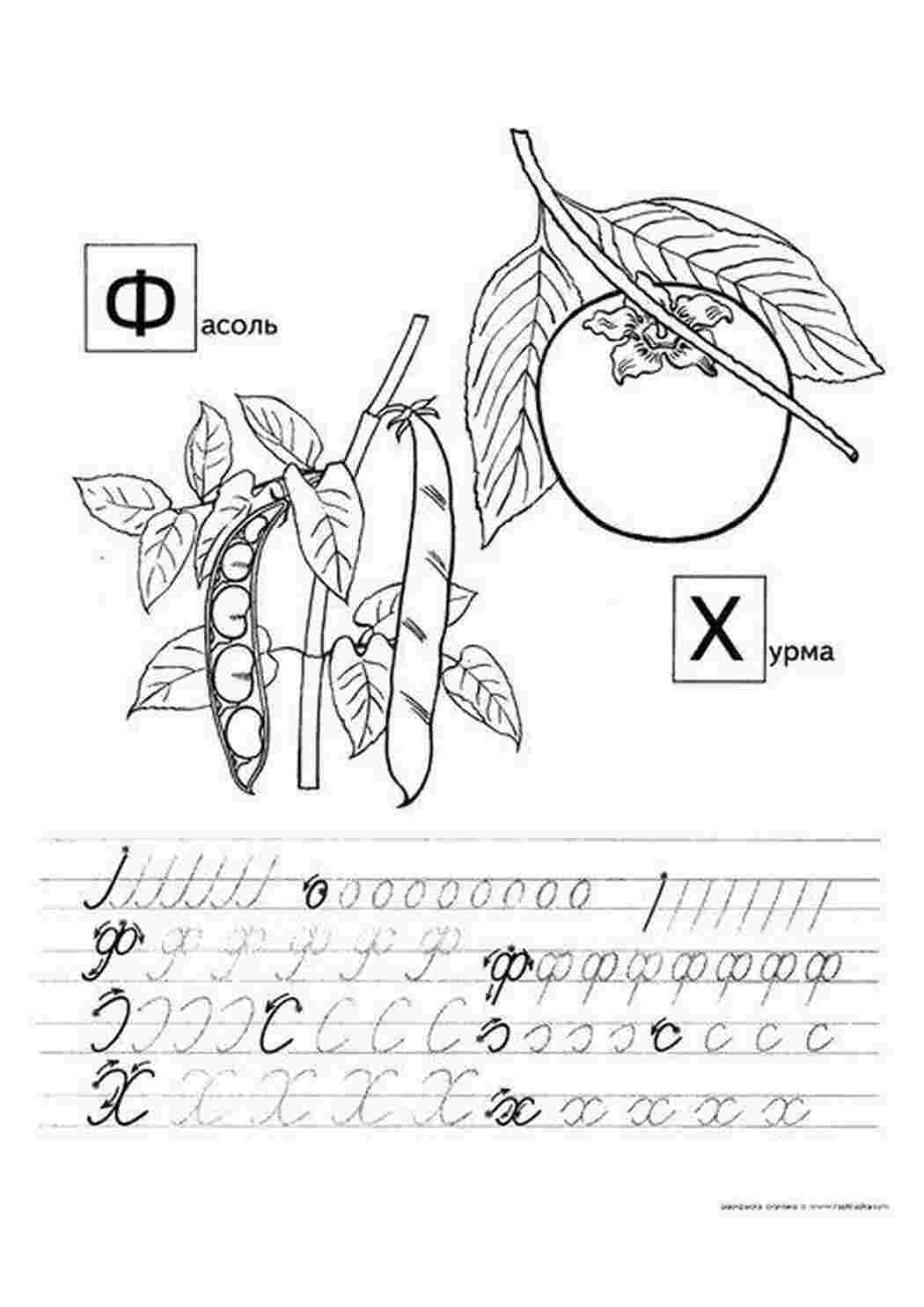 Раскраски буква х, буква ф Раскраски Прописи буквы 