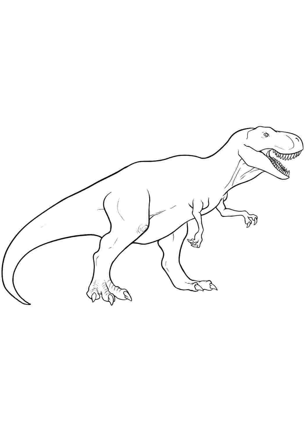 Раскраски Тираннозавр динозавр Динозавры, тираннозавр