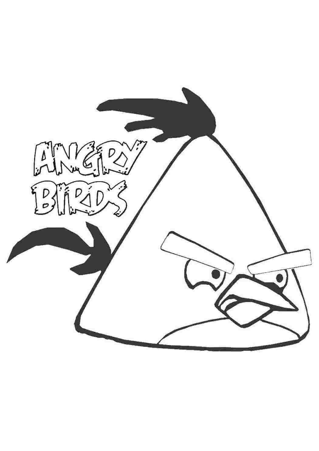 Раскраски, Andry birds, игра, Персонаж из игры Angry Birds, персонаж из игры,  Пчелка, Фиона в красивом платье, Кокетка птичка, Боб, Головоломка.