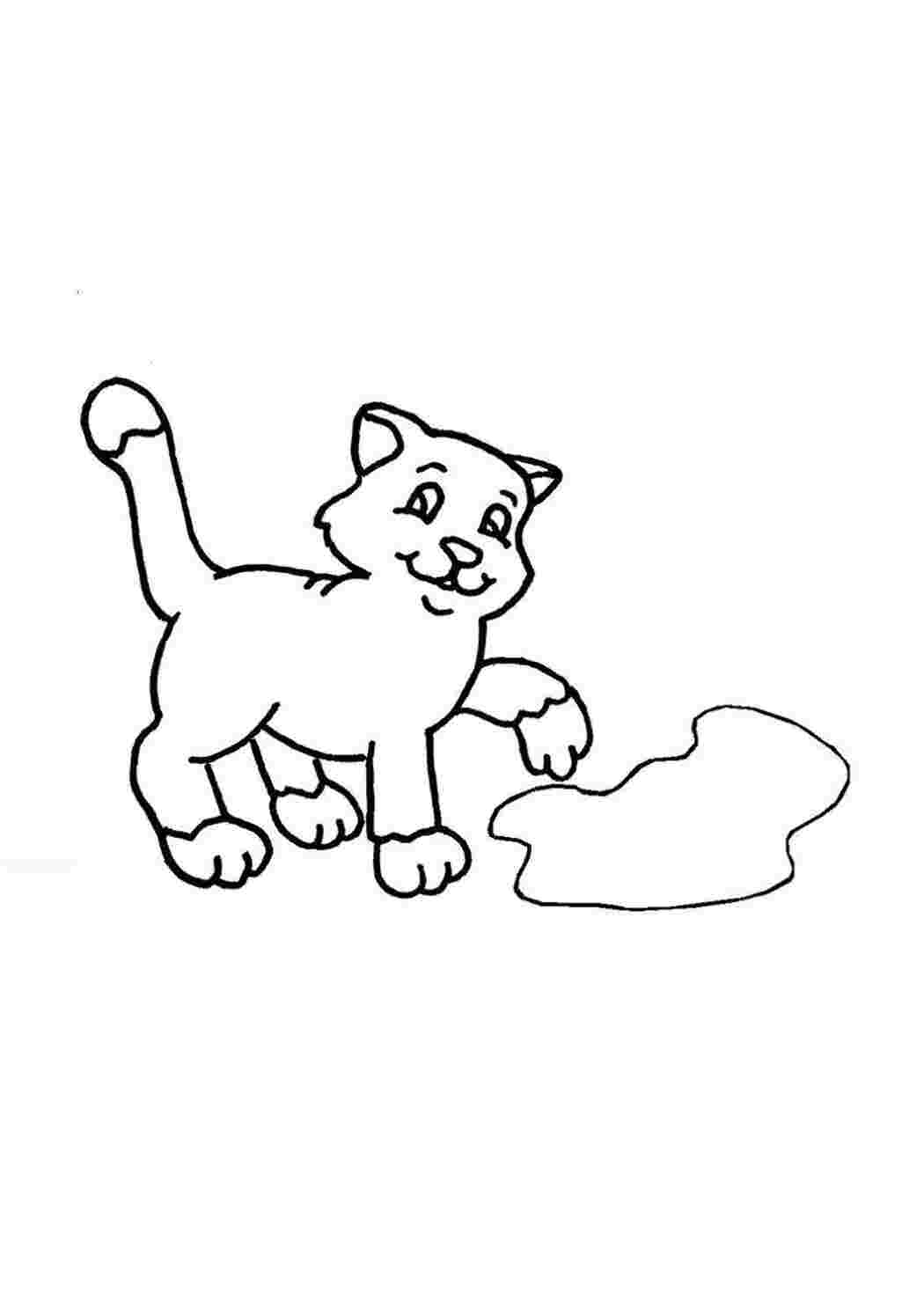 домашние животные кошка, кот