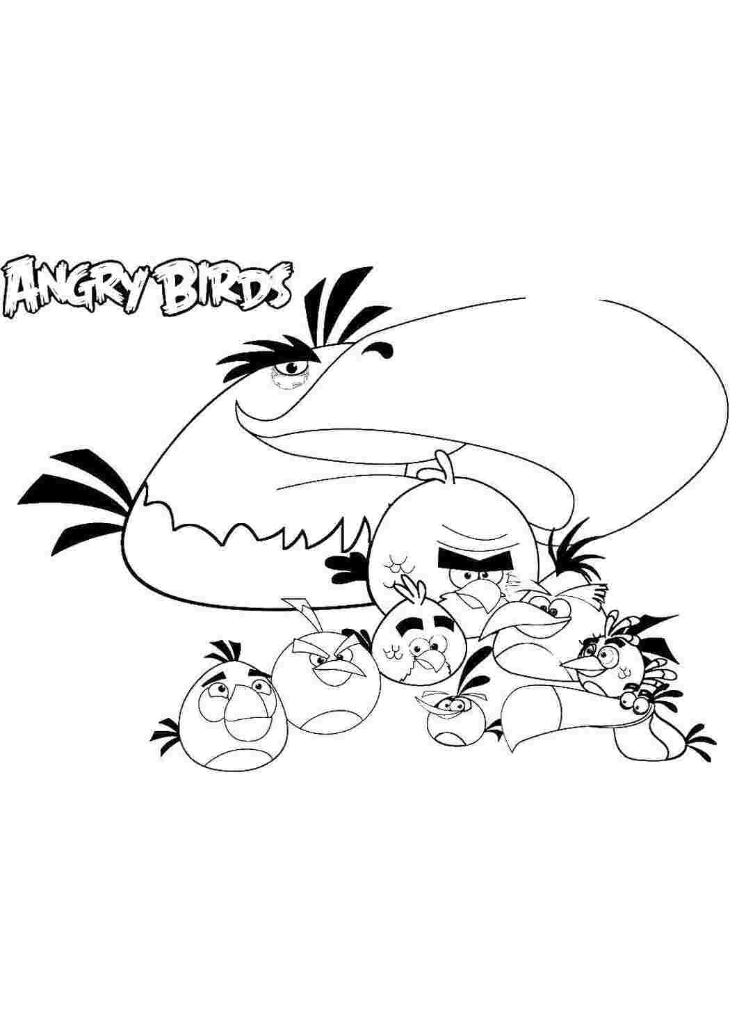 angry birds энгри бердз