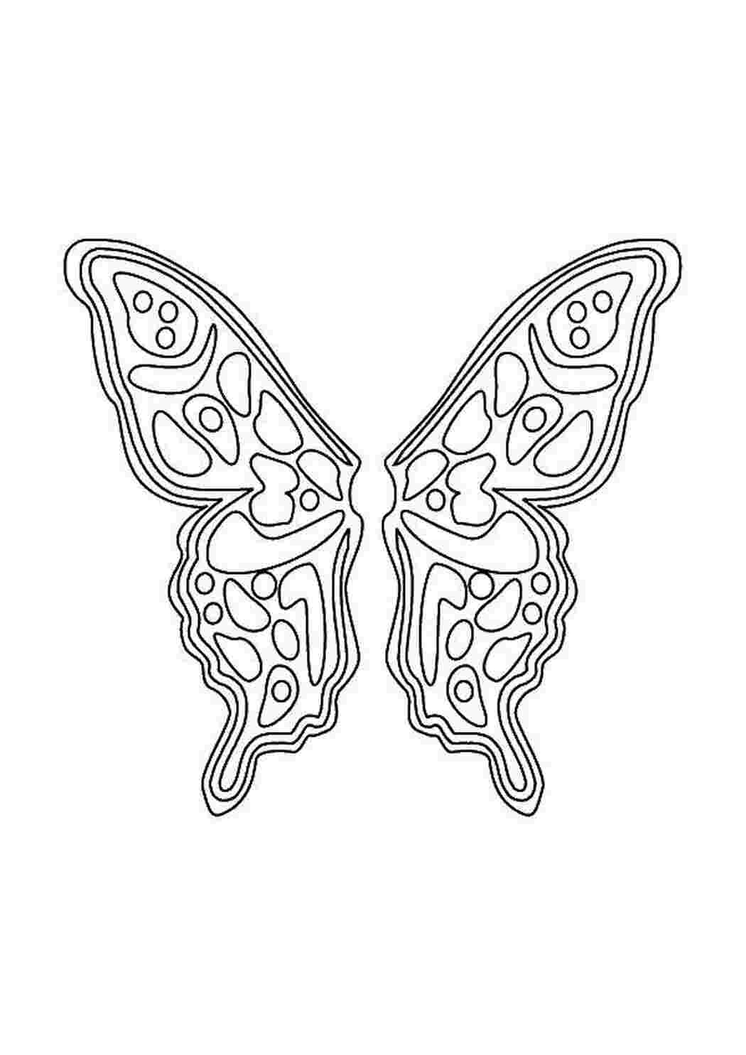 Раскраски Крыло бабочки