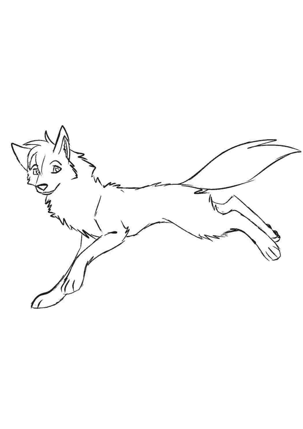 Комплектация набора для рисования Картина по номерам с волками