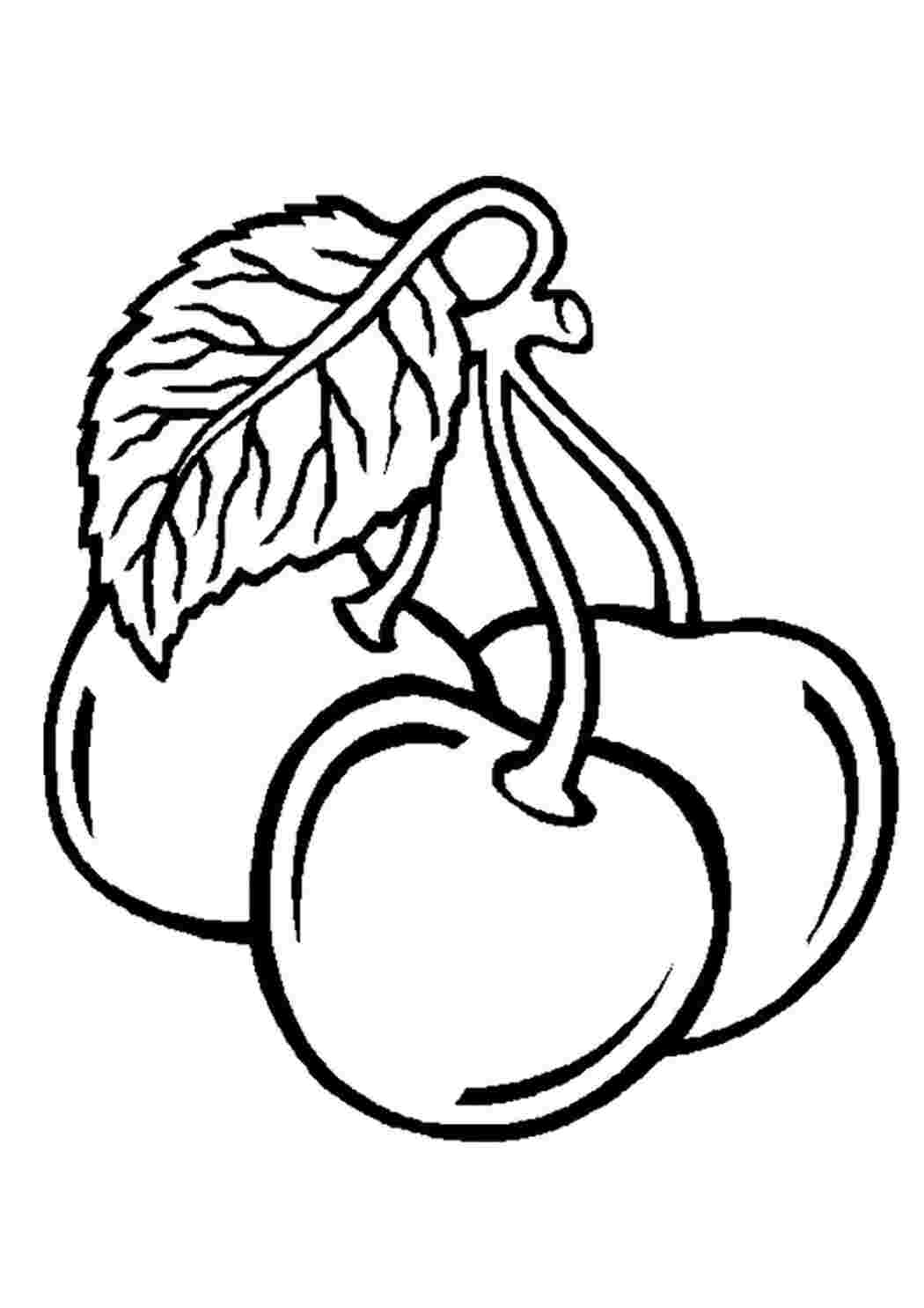 Раскраски Раскраски ягоды малина вишня арбуз вишня крыжовник  Вишня