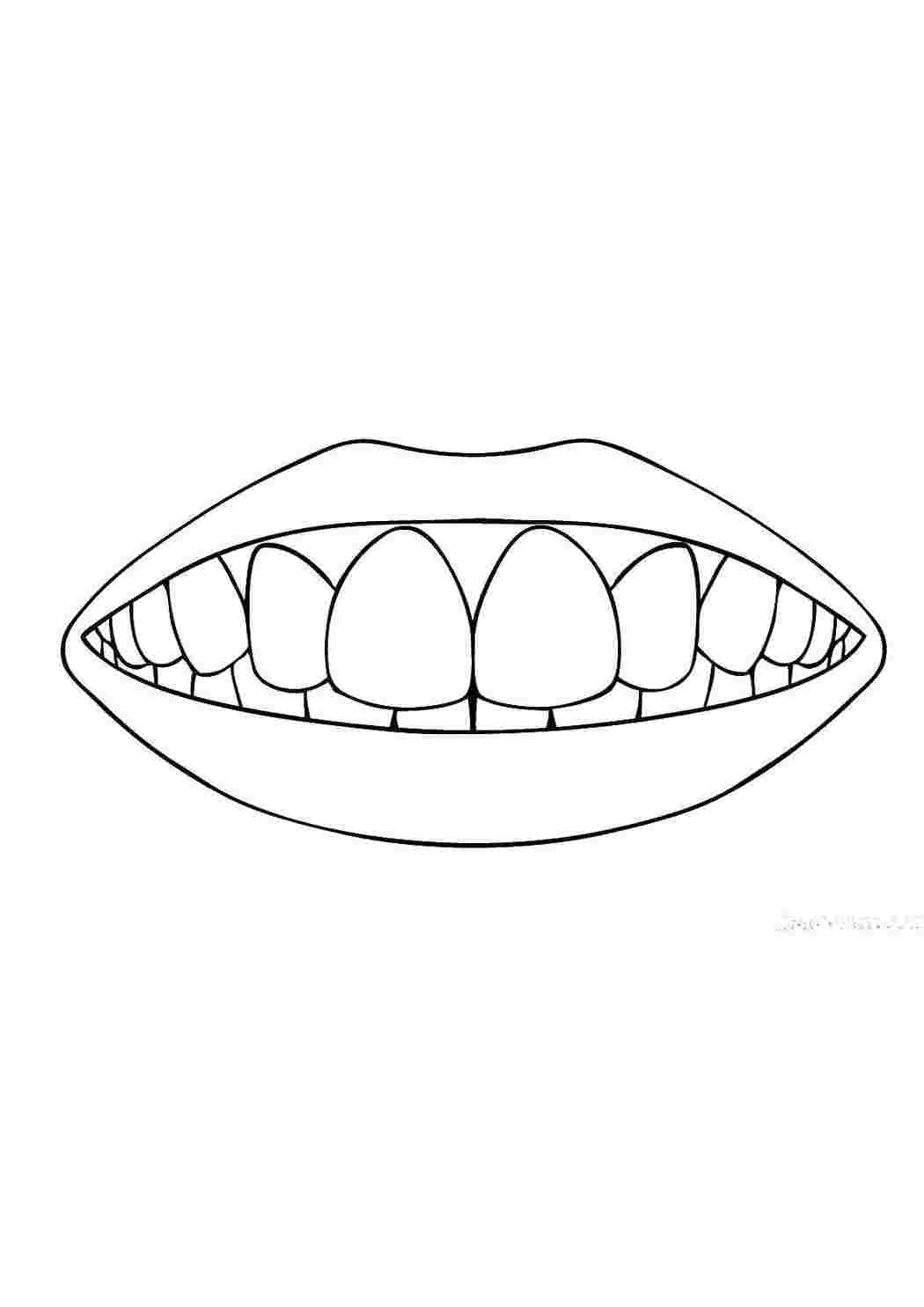 Расцветка зубов SuperLux (A1-D4)