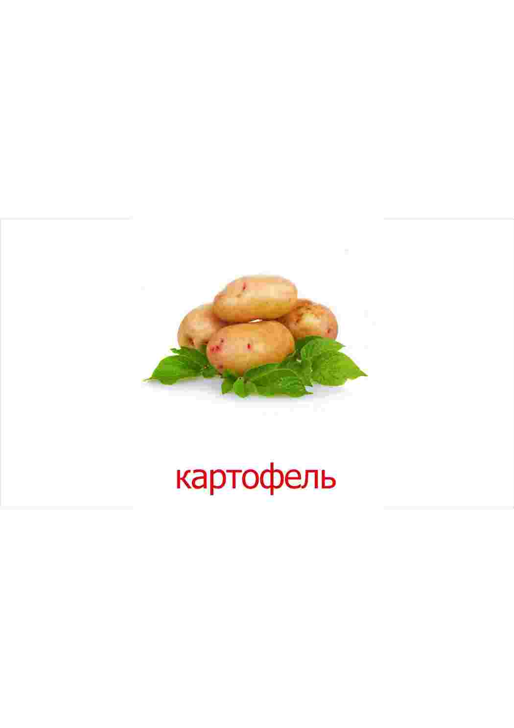 Раскраски карточки овощи помидор картошка капуста  карточки овощи помидор картошка капуста