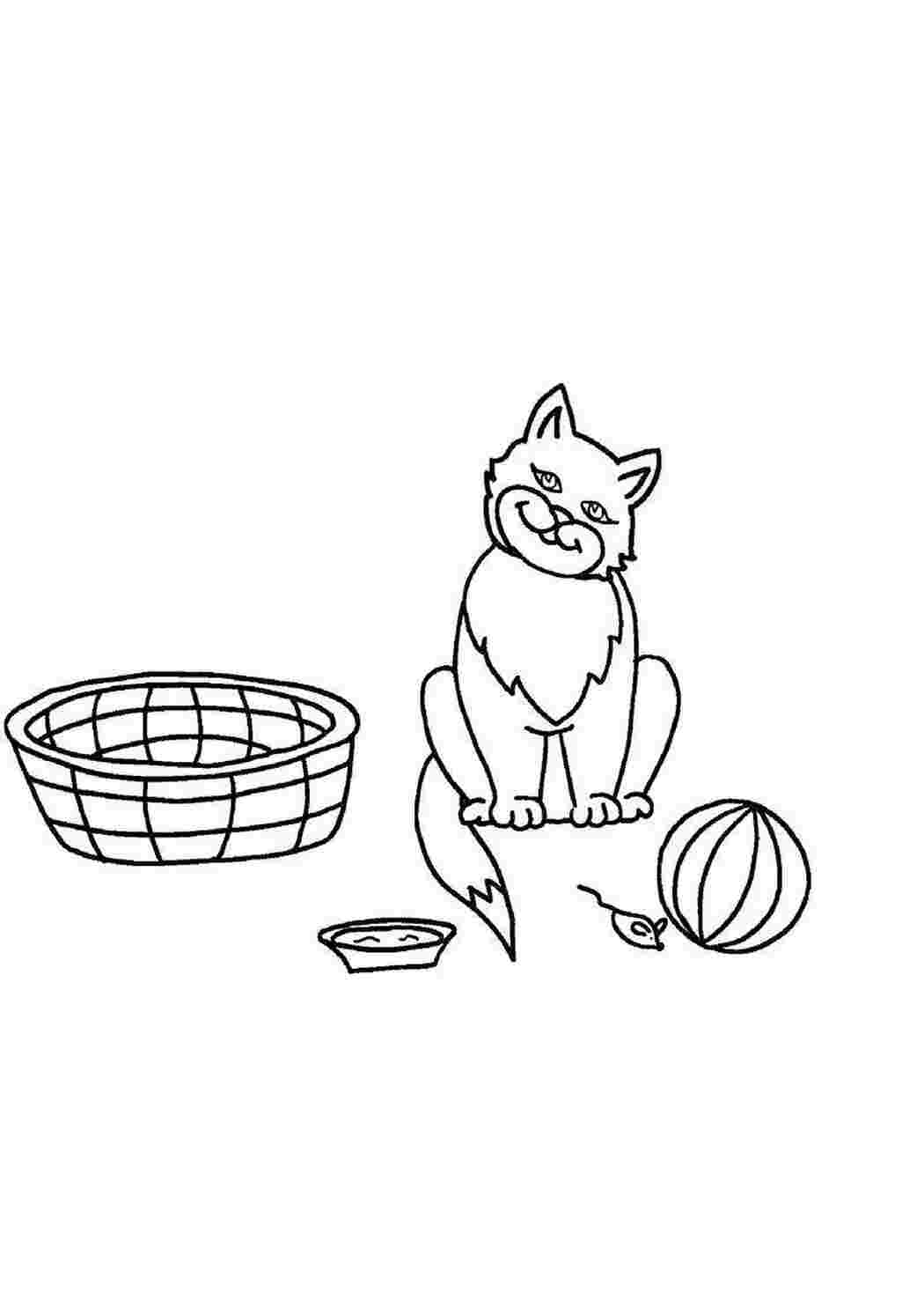 Раскраски Рисунок кот играет с мышкой домашние животные кошка, кот
