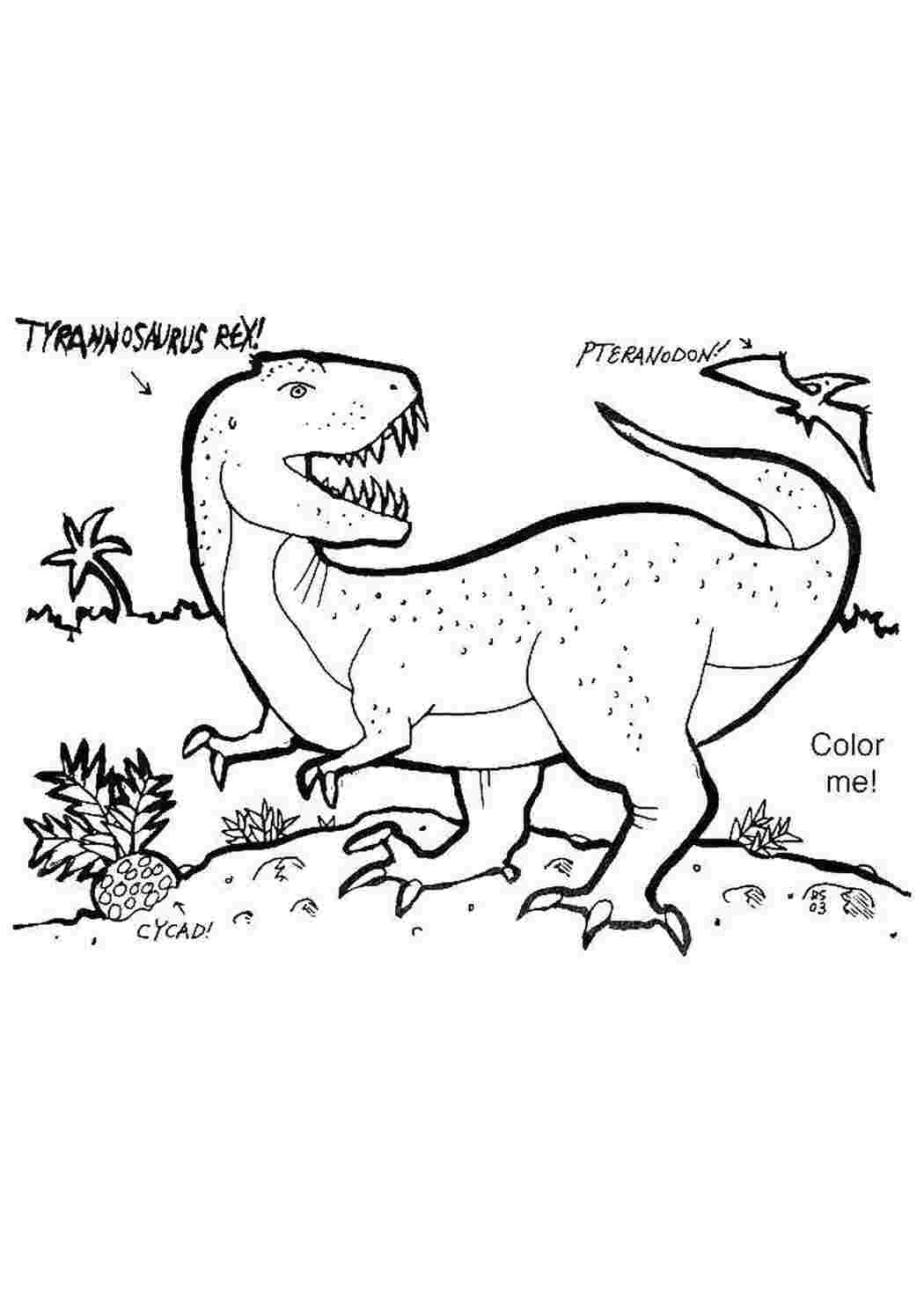 Раскраски Динозавры на английском Английский Английский, динозавры