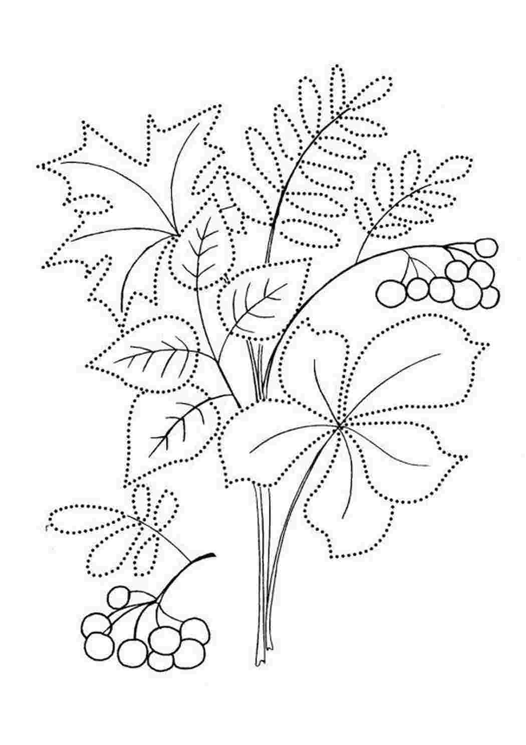 Раскраски, Букет из осенних листьев, красивые осенние листья в раскрасках  скачать и распечатать бесплатно, Семья и школа Семья , Маугли и слоник,  Раскраски с микки маусом для самых маленьких, Баран. Раскраски с