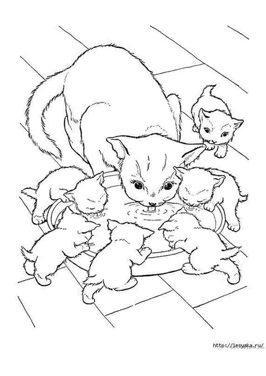 Раскраски Кошка и котята с миской котики кошка, котята, миска, молоко