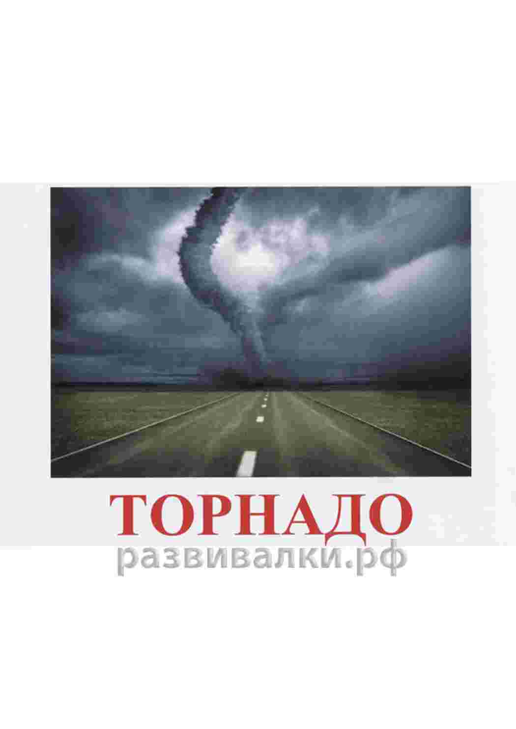 Раскраски карточка времена года зима осень лето осень   карточка времена года зима осень лето осень 