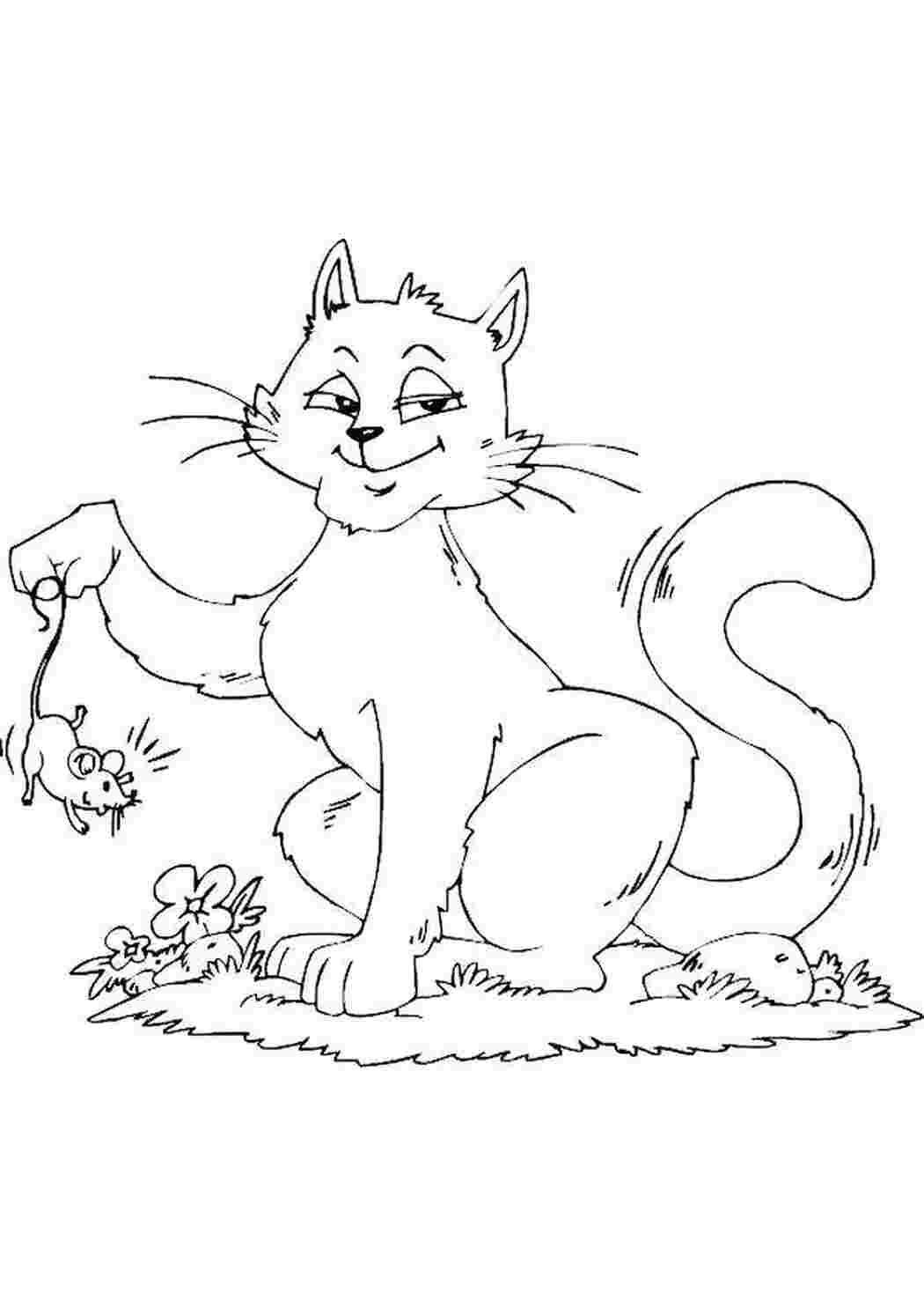 котики Животные, котёнок