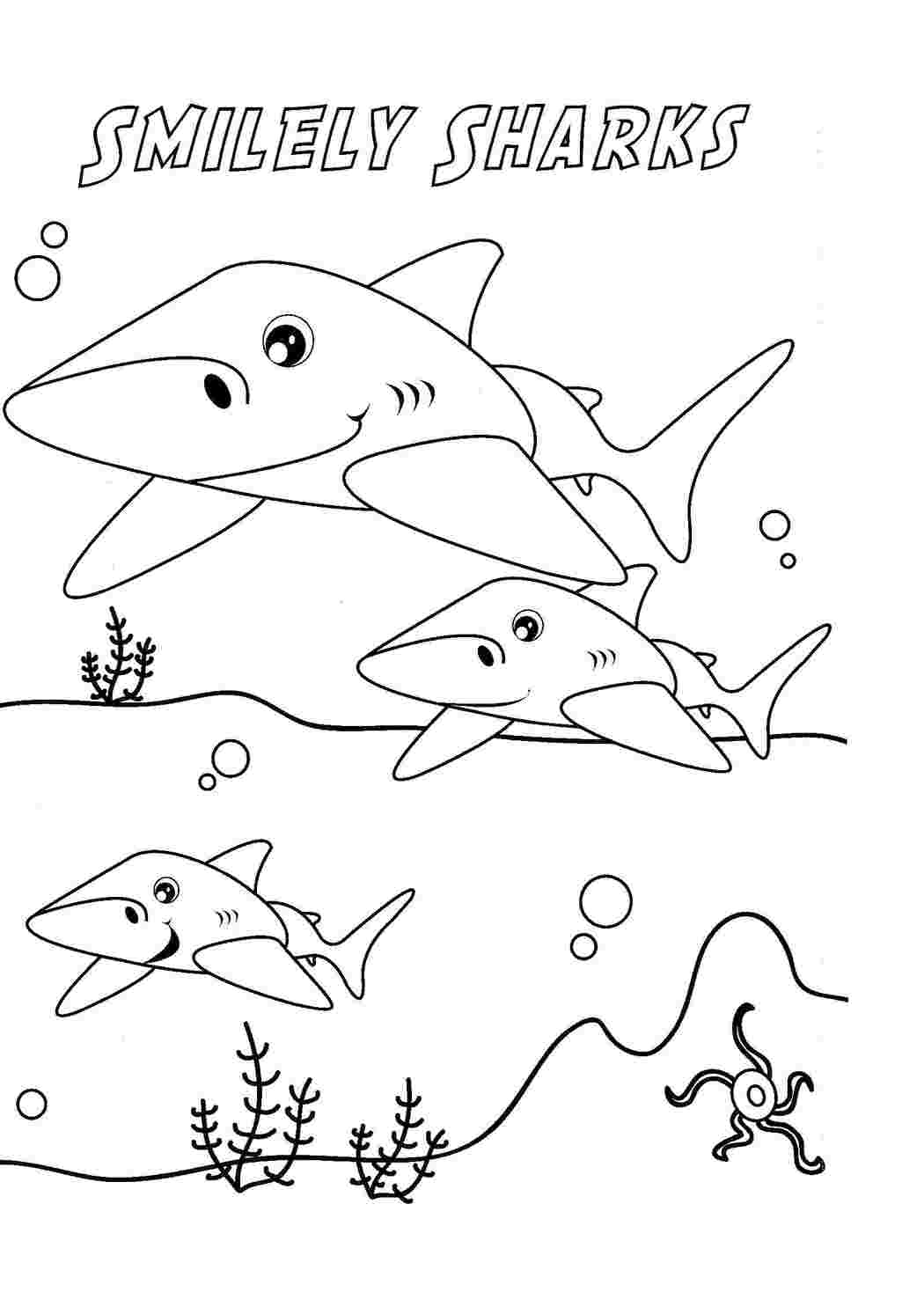 морское Подводный мир