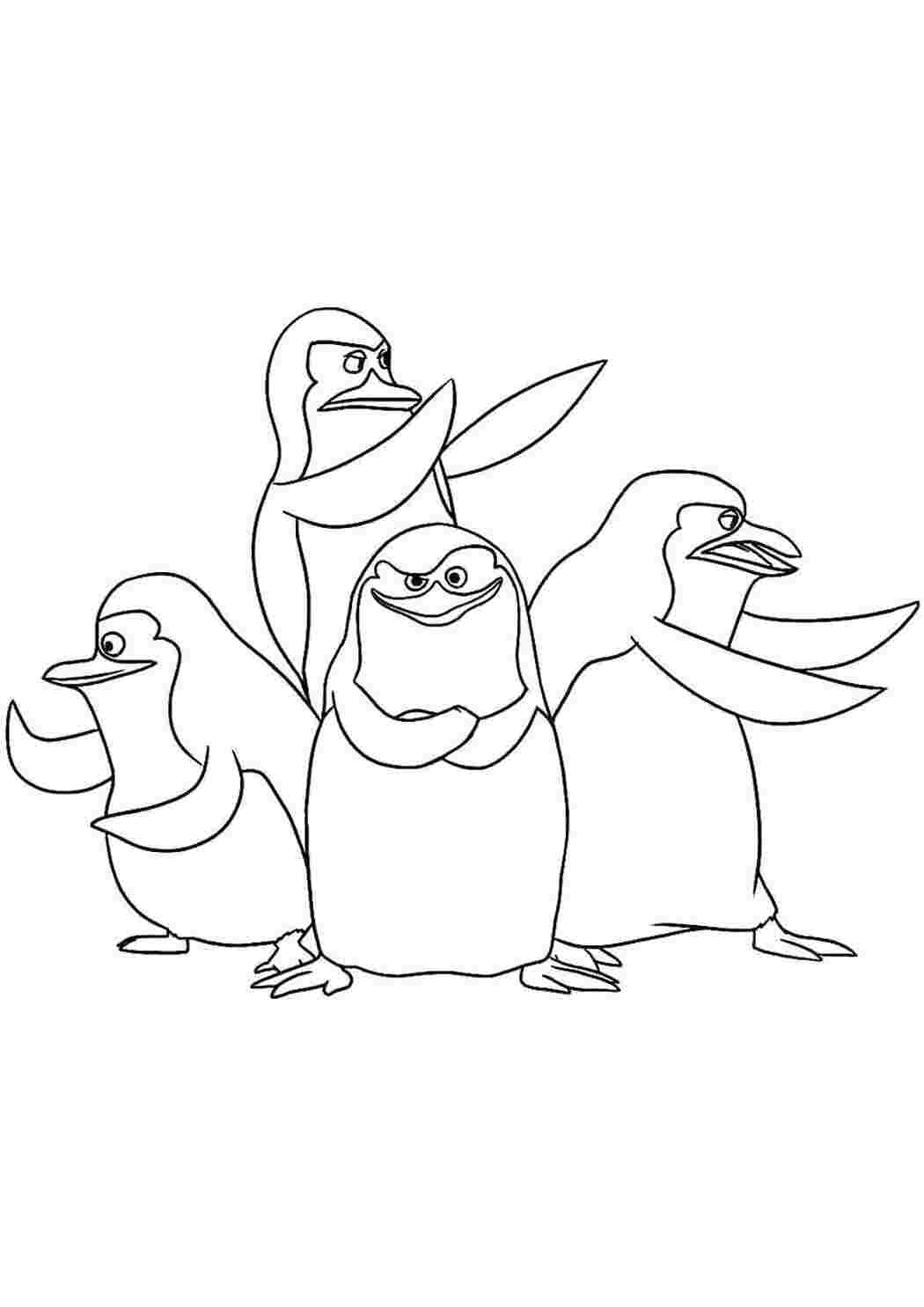 Раскраски Пингвины мадагаскар Персонаж из мультфильма
