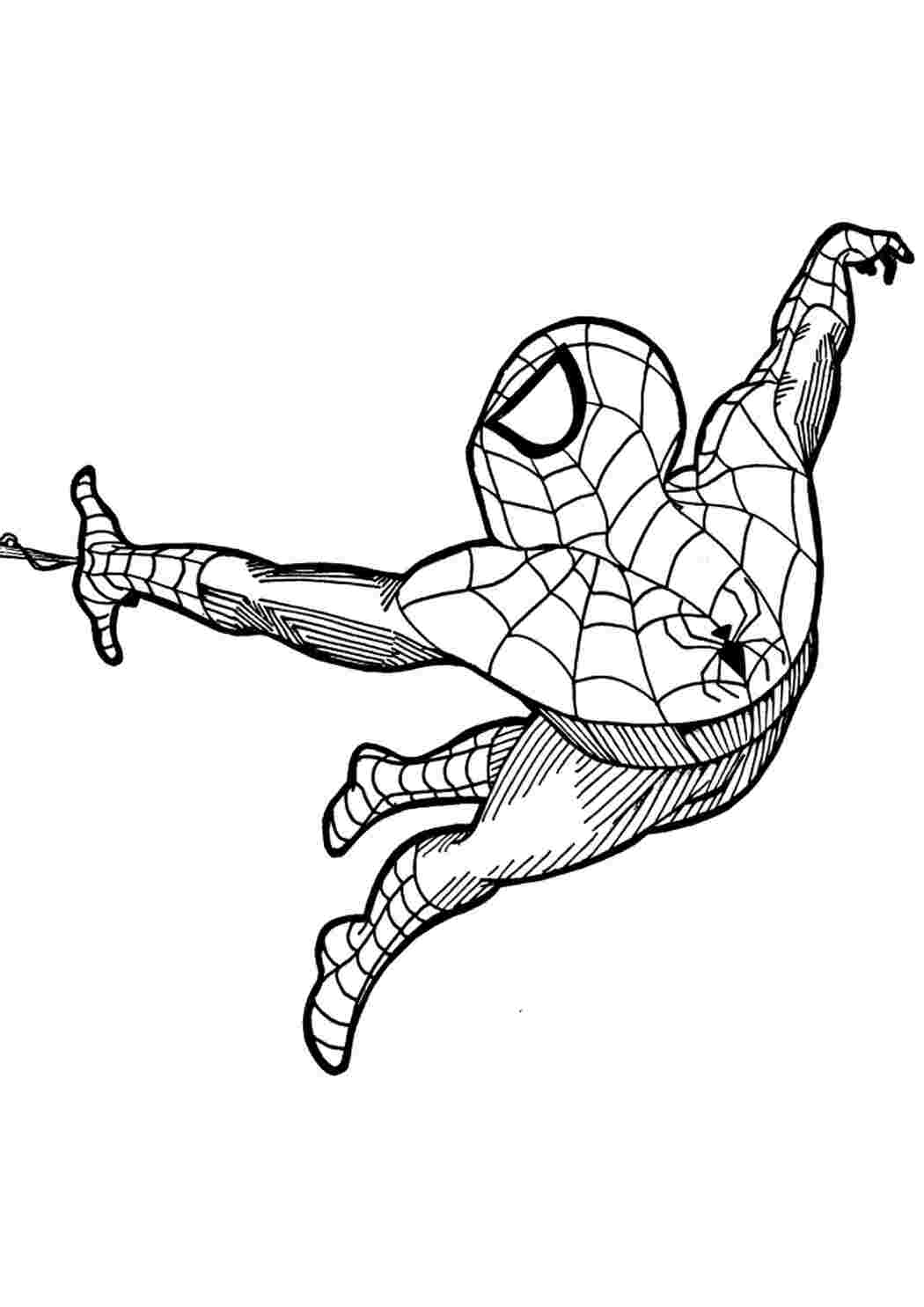 Раскраска Человека-паука Раскраски скачать и распечатать бесплатно.
