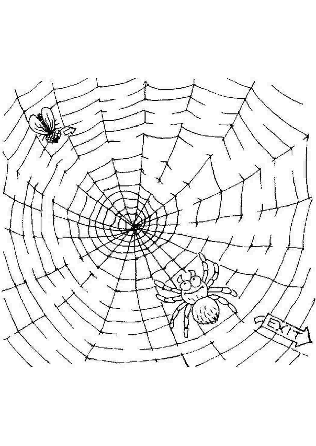 Раскраски Помоги мухе Лабиринты Лабиринт, логика