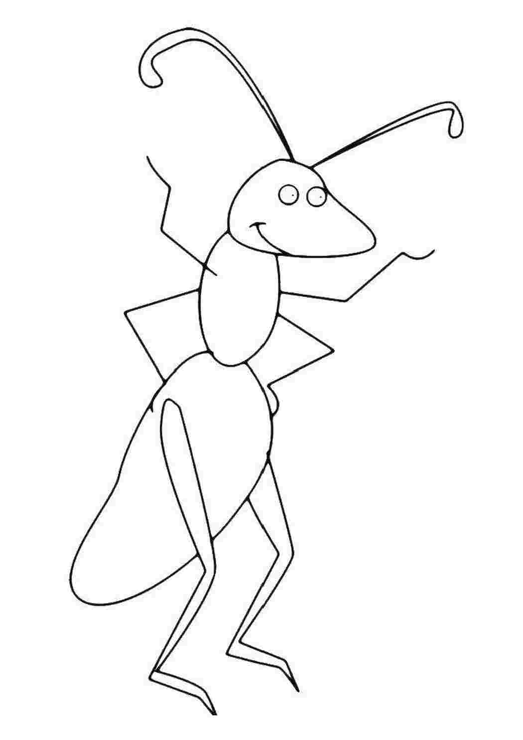 Раскраски Муравьишка раскраски Насекомые, муравей