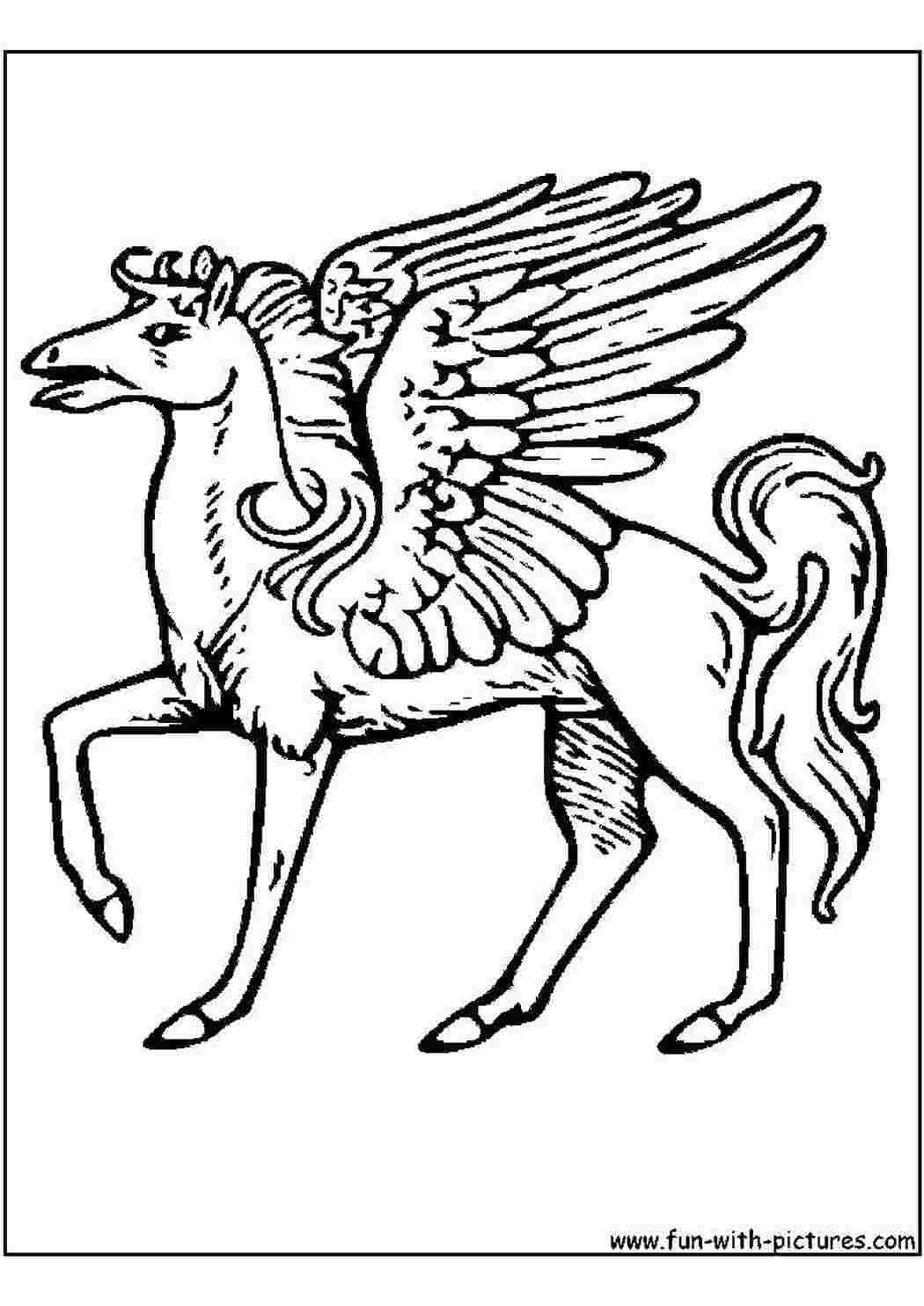 Раскраски Крылья с перьями и конь раскраски конь, крылья